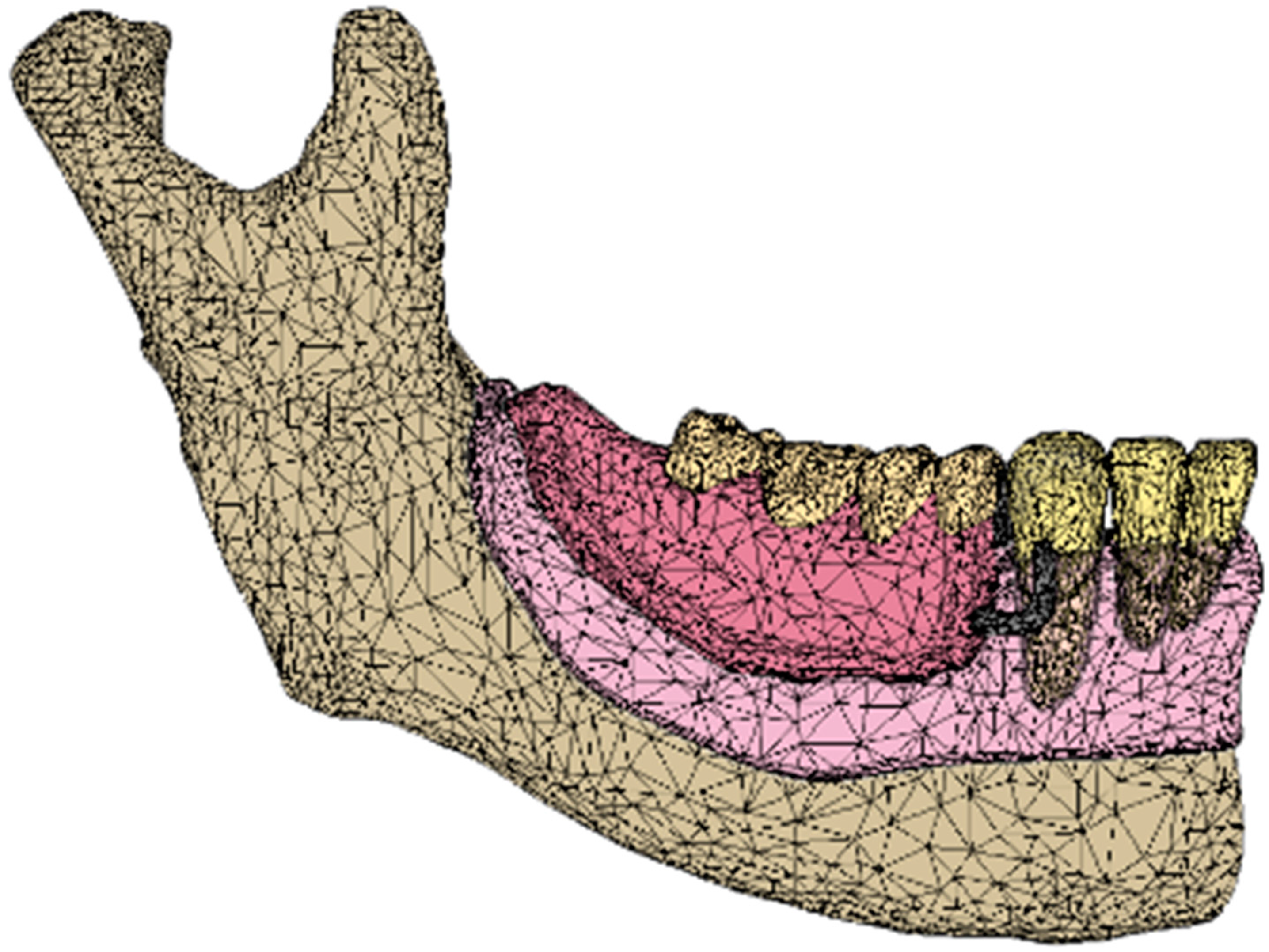 Dentistry 12 00358 g004