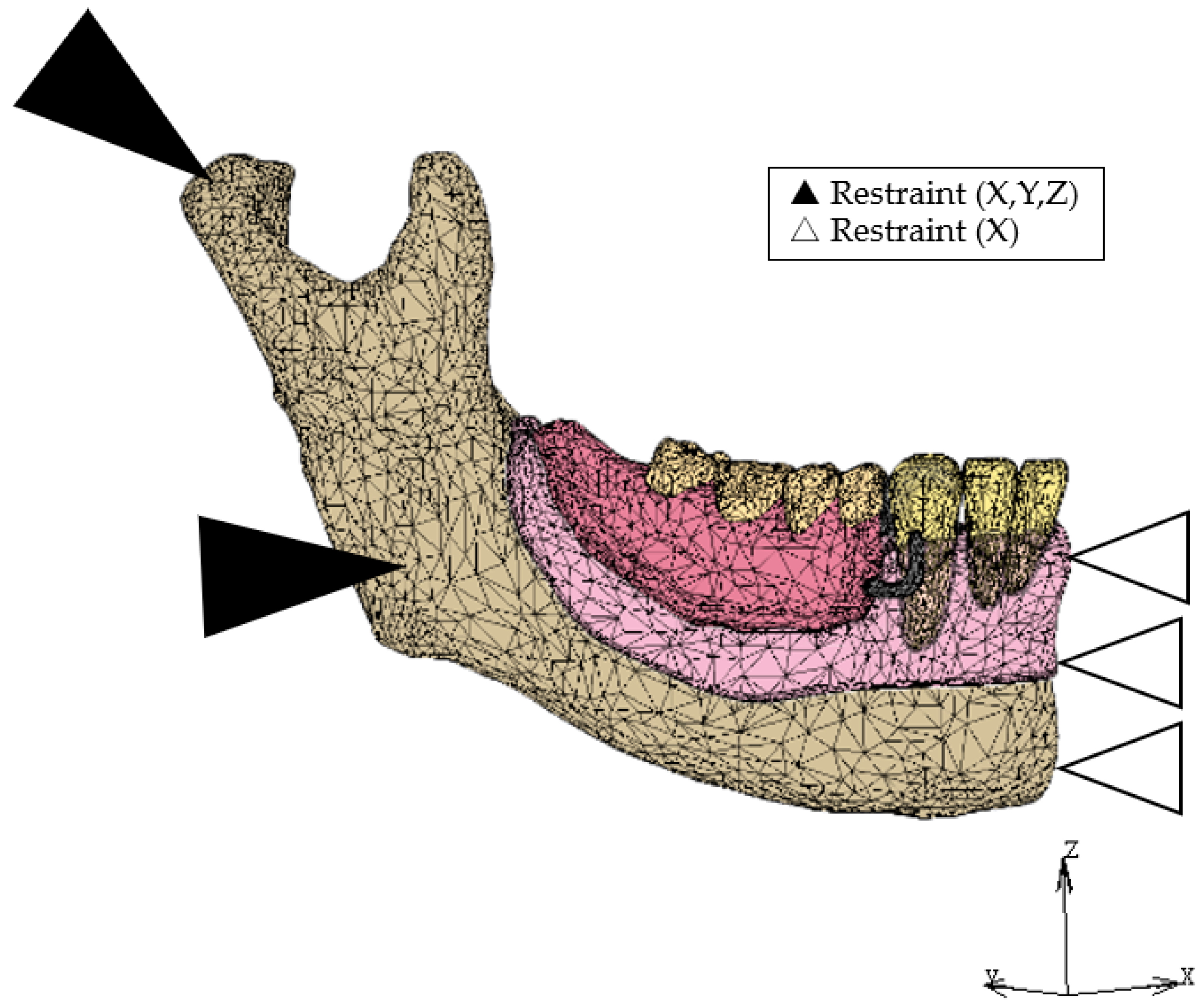 Dentistry 12 00358 g005