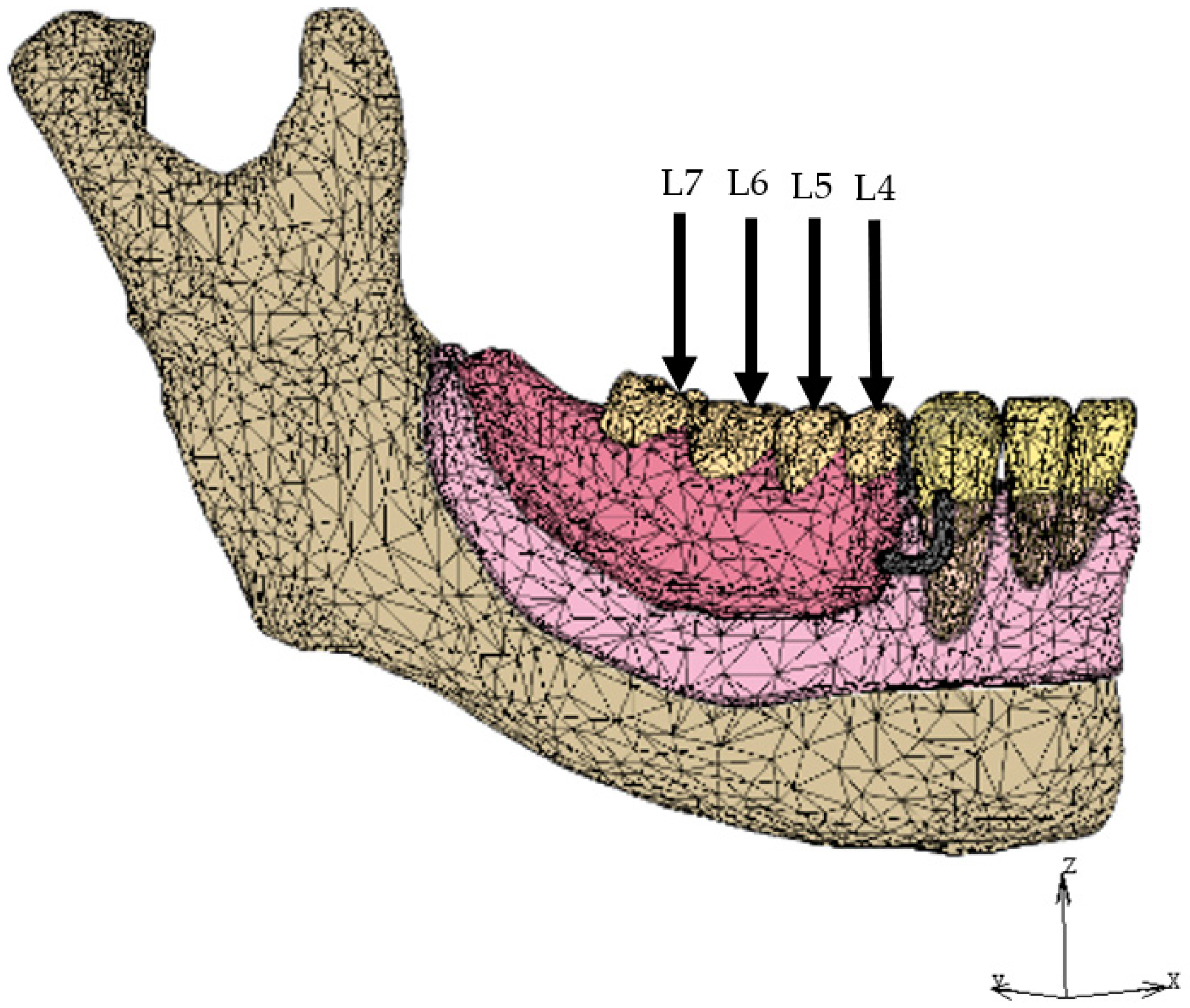 Dentistry 12 00358 g006