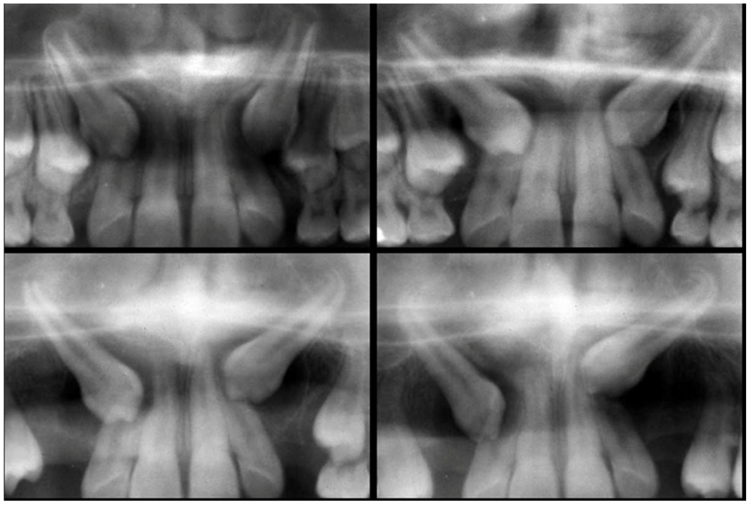 Dentistry 12 00360 g001