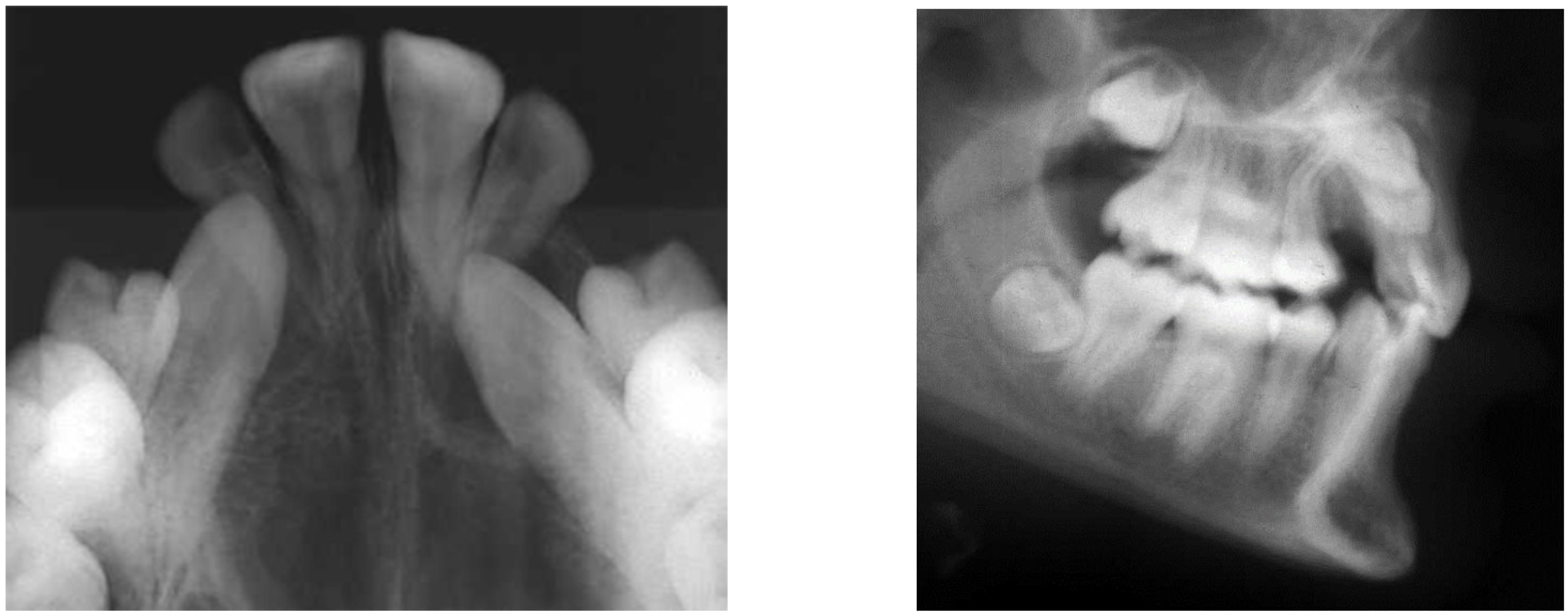 Dentistry 12 00360 g002