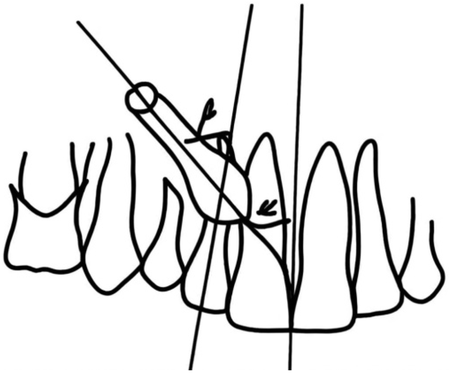 Dentistry 12 00360 g004