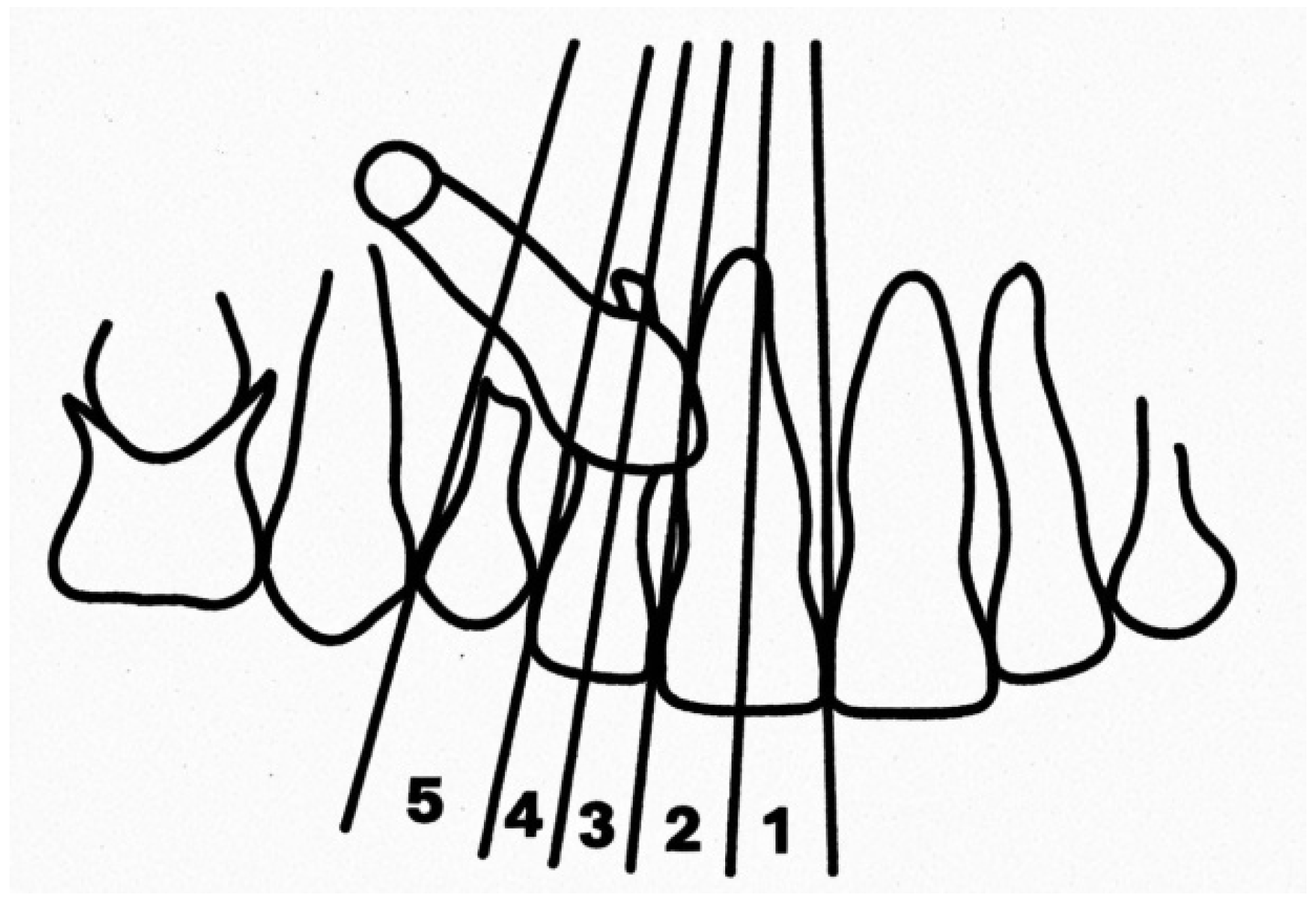Dentistry 12 00360 g006