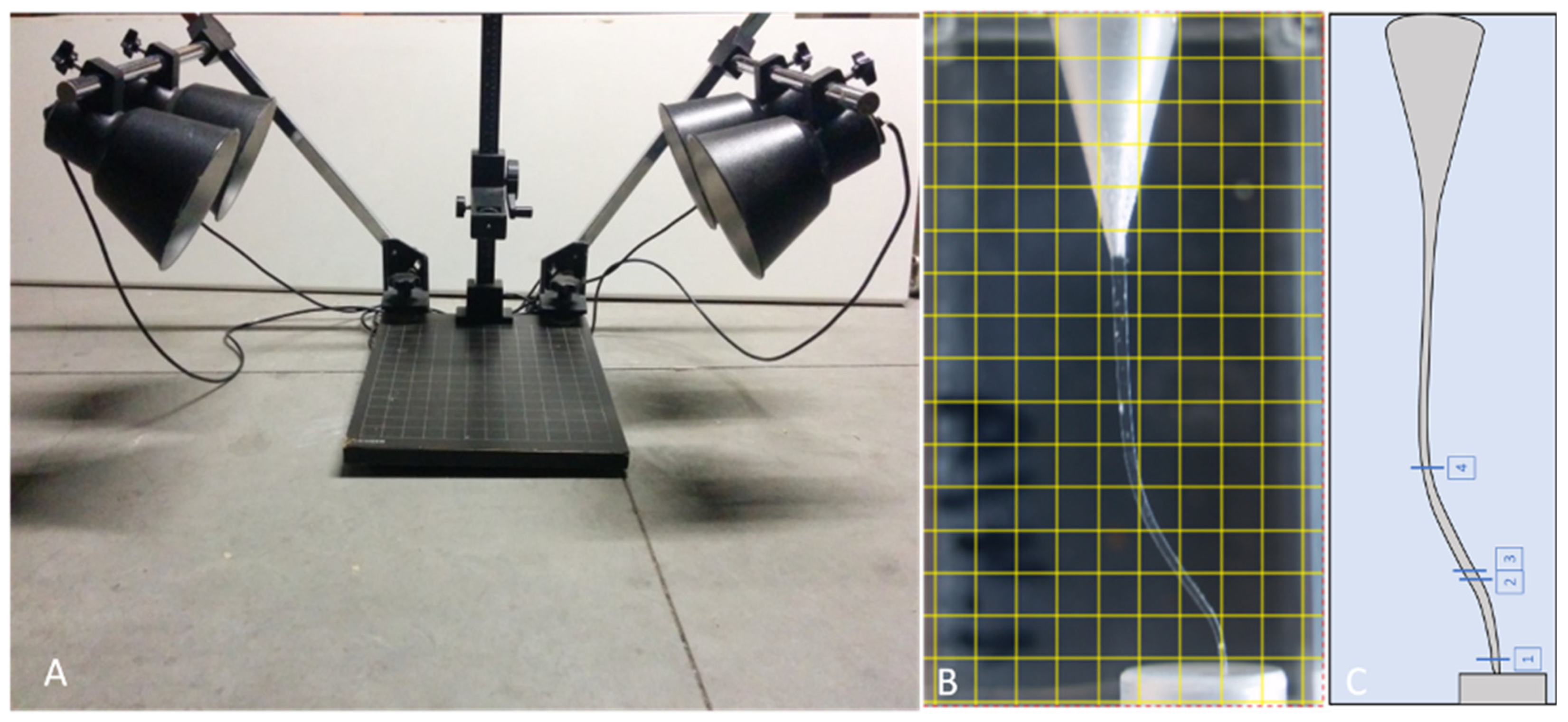 Dentistry 12 00363 g001