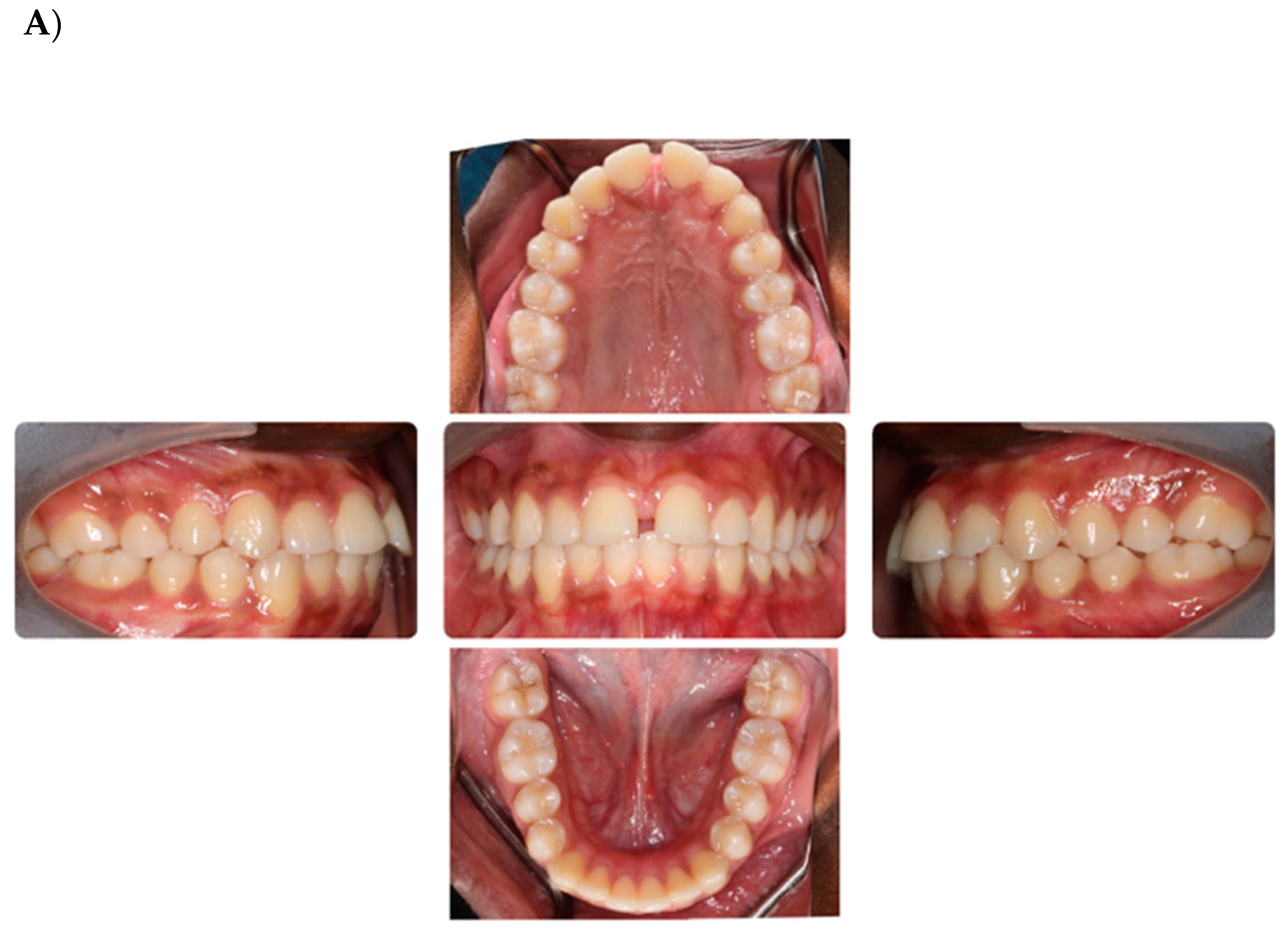 Dentistry 12 00368 g001a