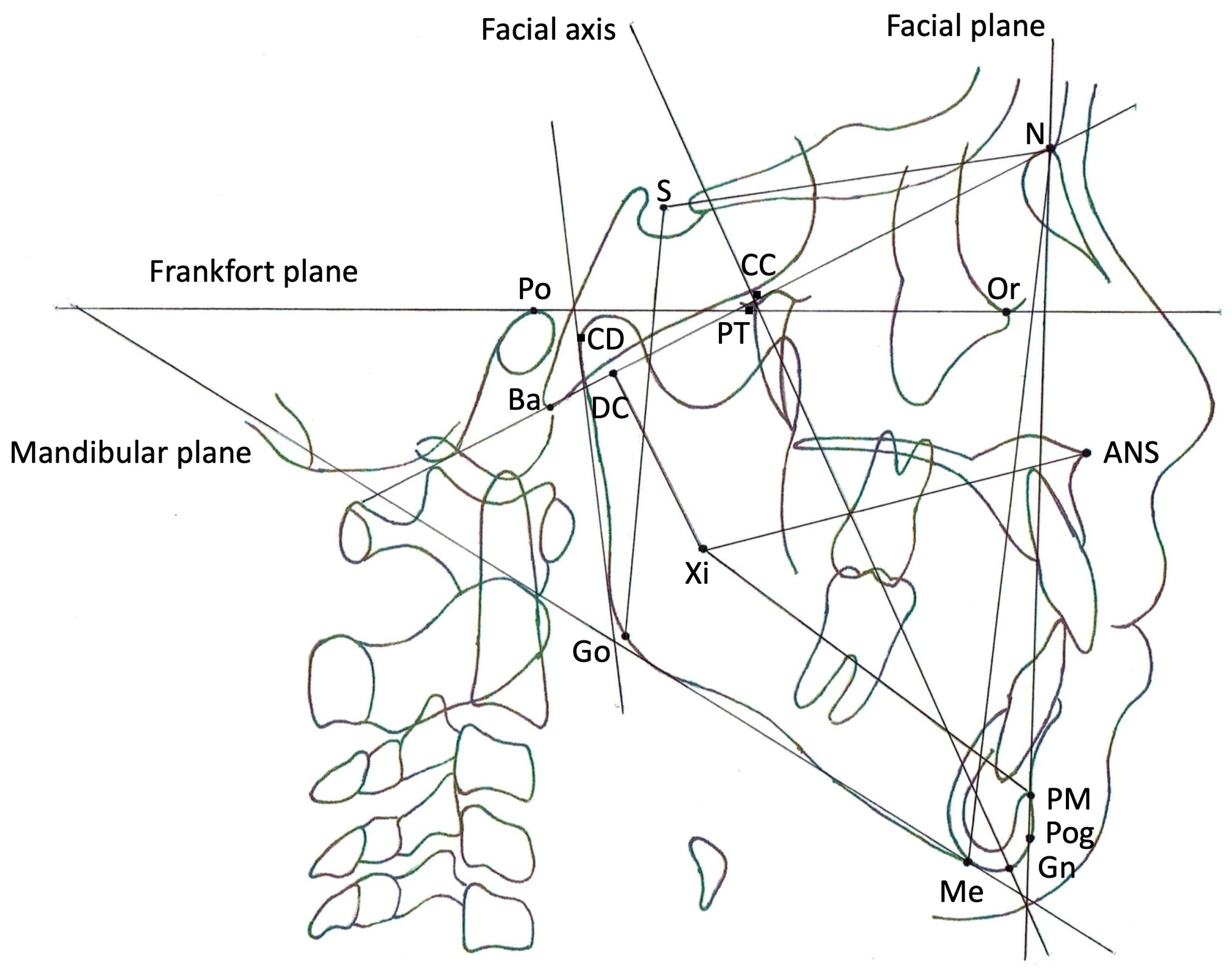 Dentistry 12 00374 g001