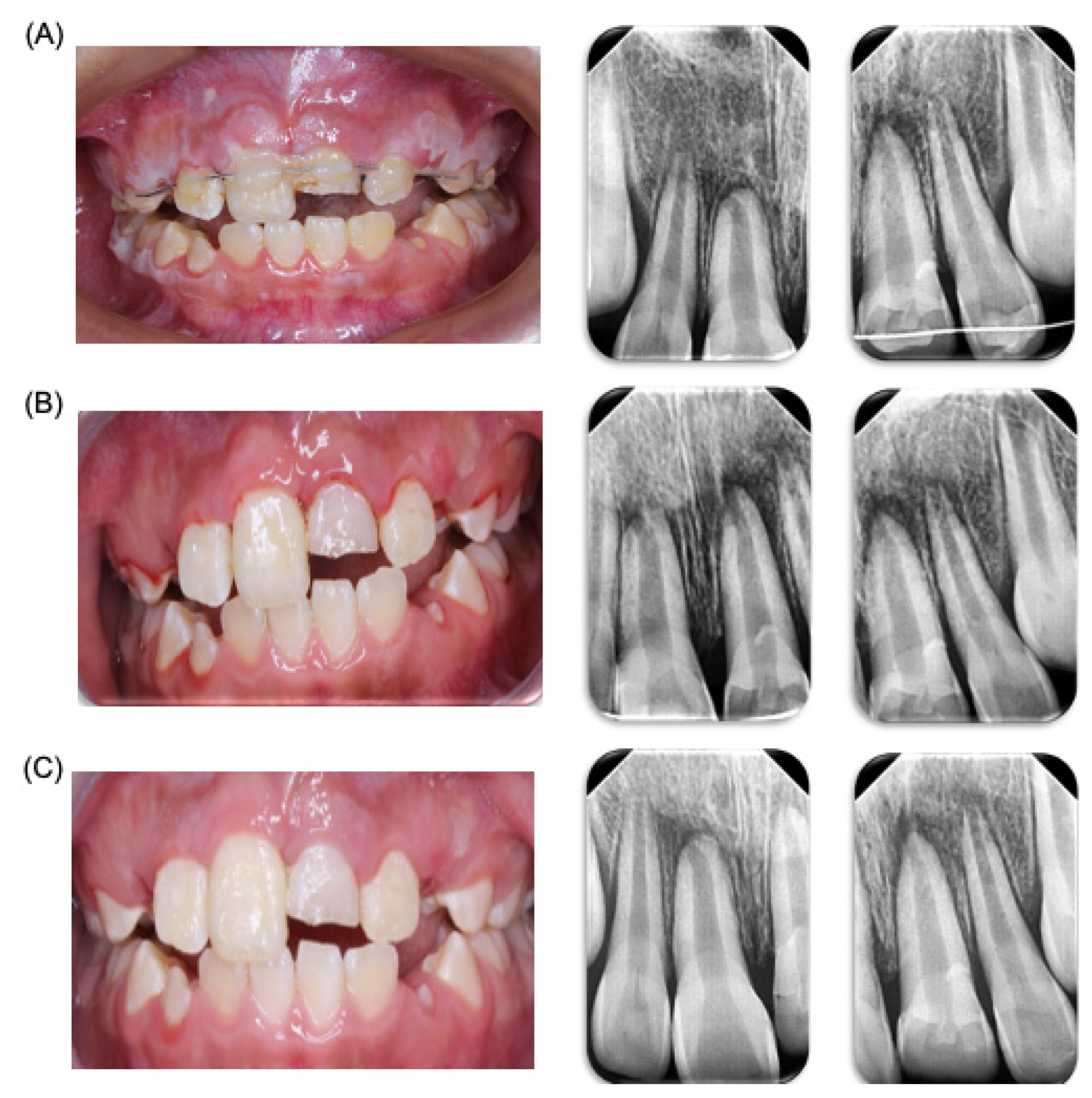 Dentistry 12 00380 g002