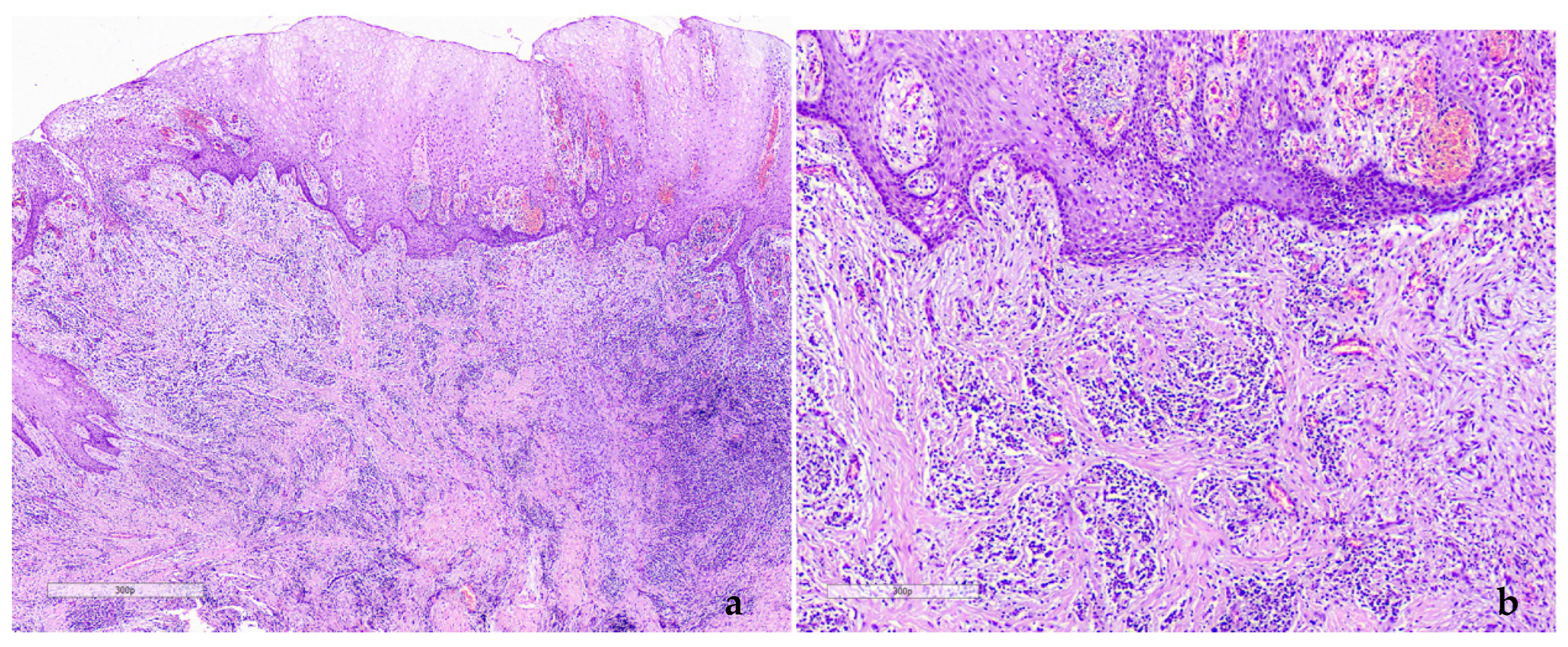 Dentistry 12 00403 g005