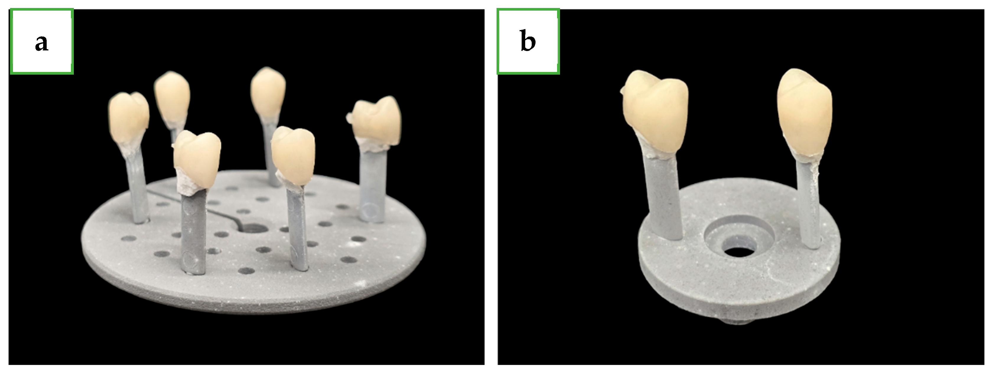 Dentistry 12 00416 g001