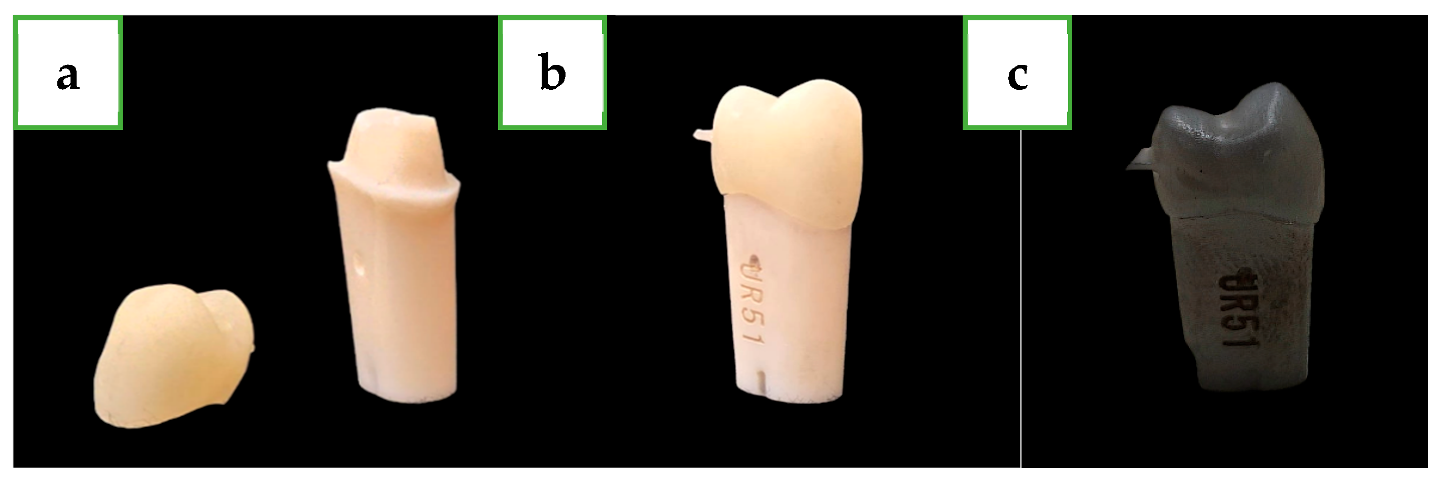 Dentistry 12 00416 g002