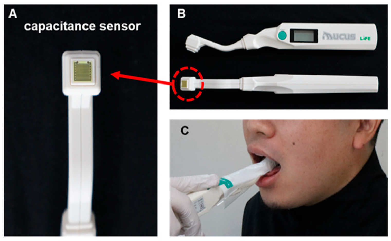 Dentistry 13 00005 g001