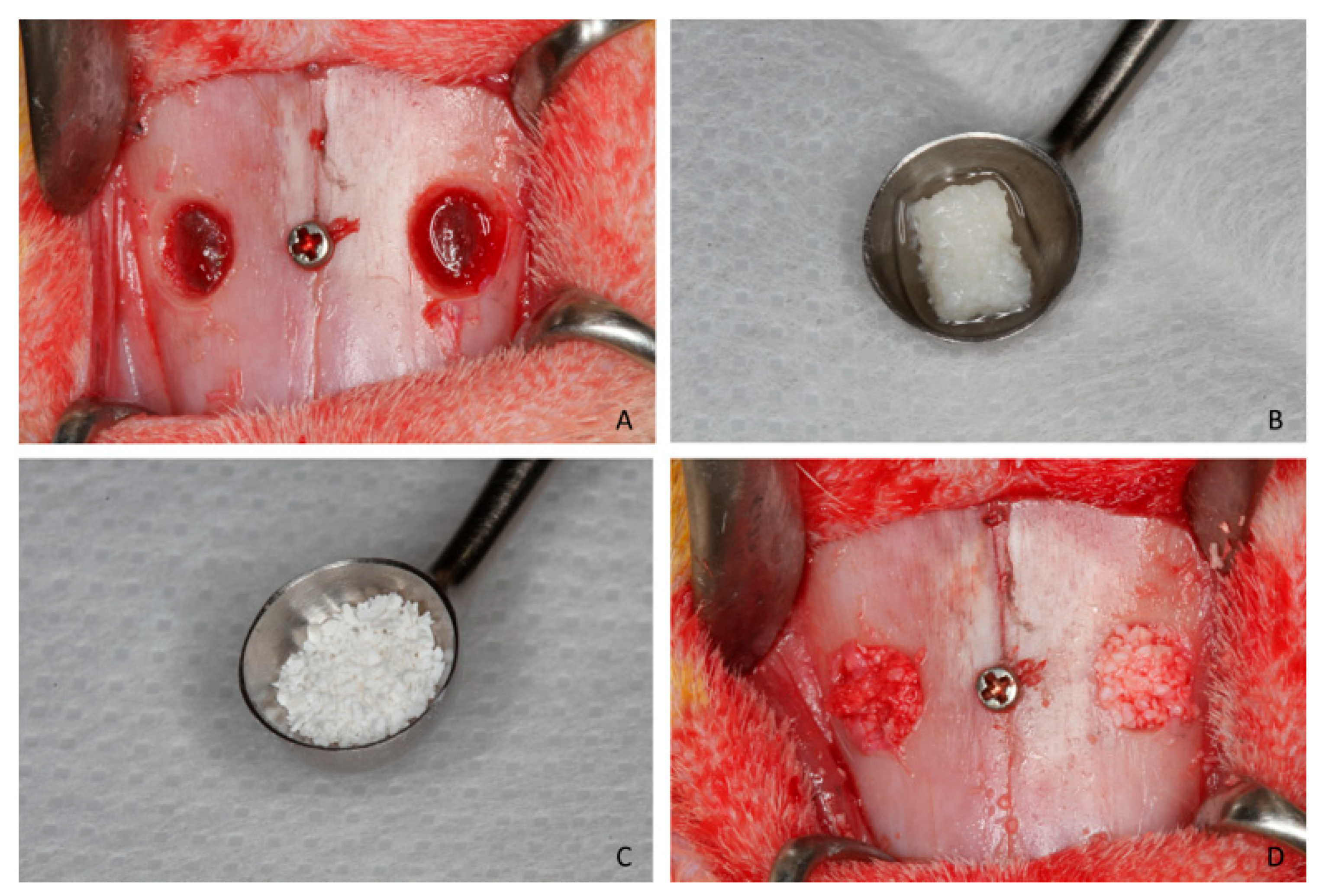 Dentistry 13 00019 g001