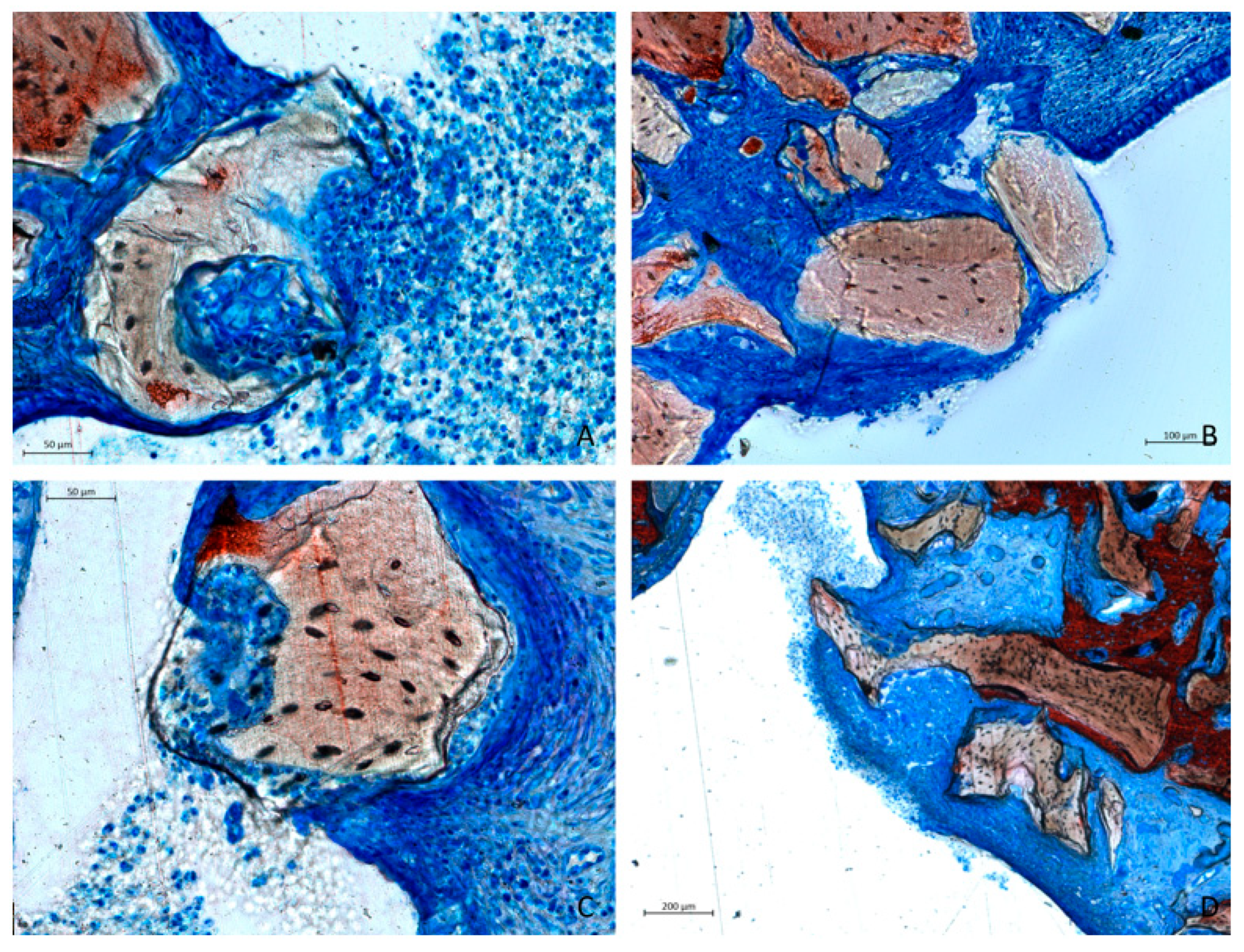 Dentistry 13 00019 g011