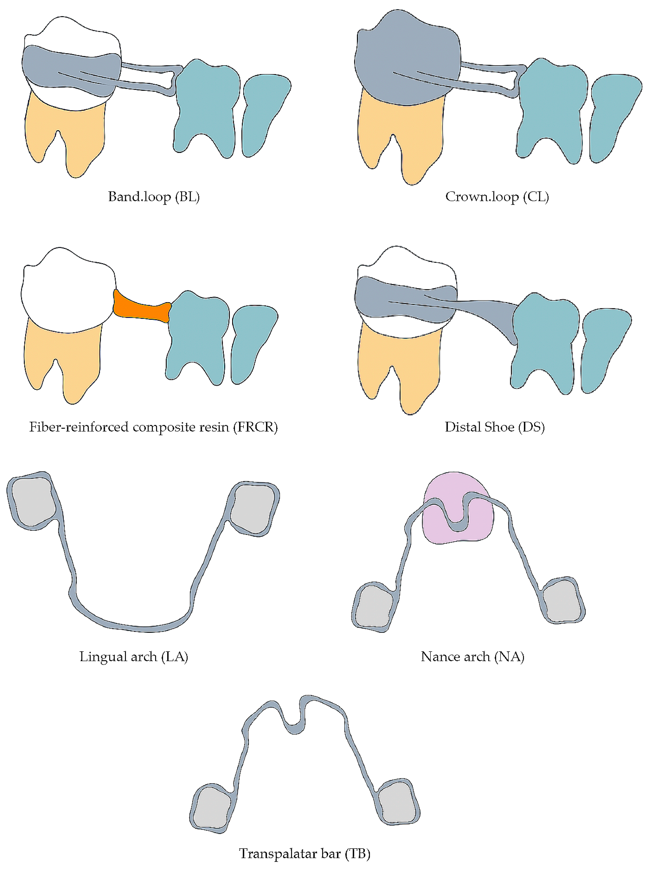 Dentistry 13 00032 g001