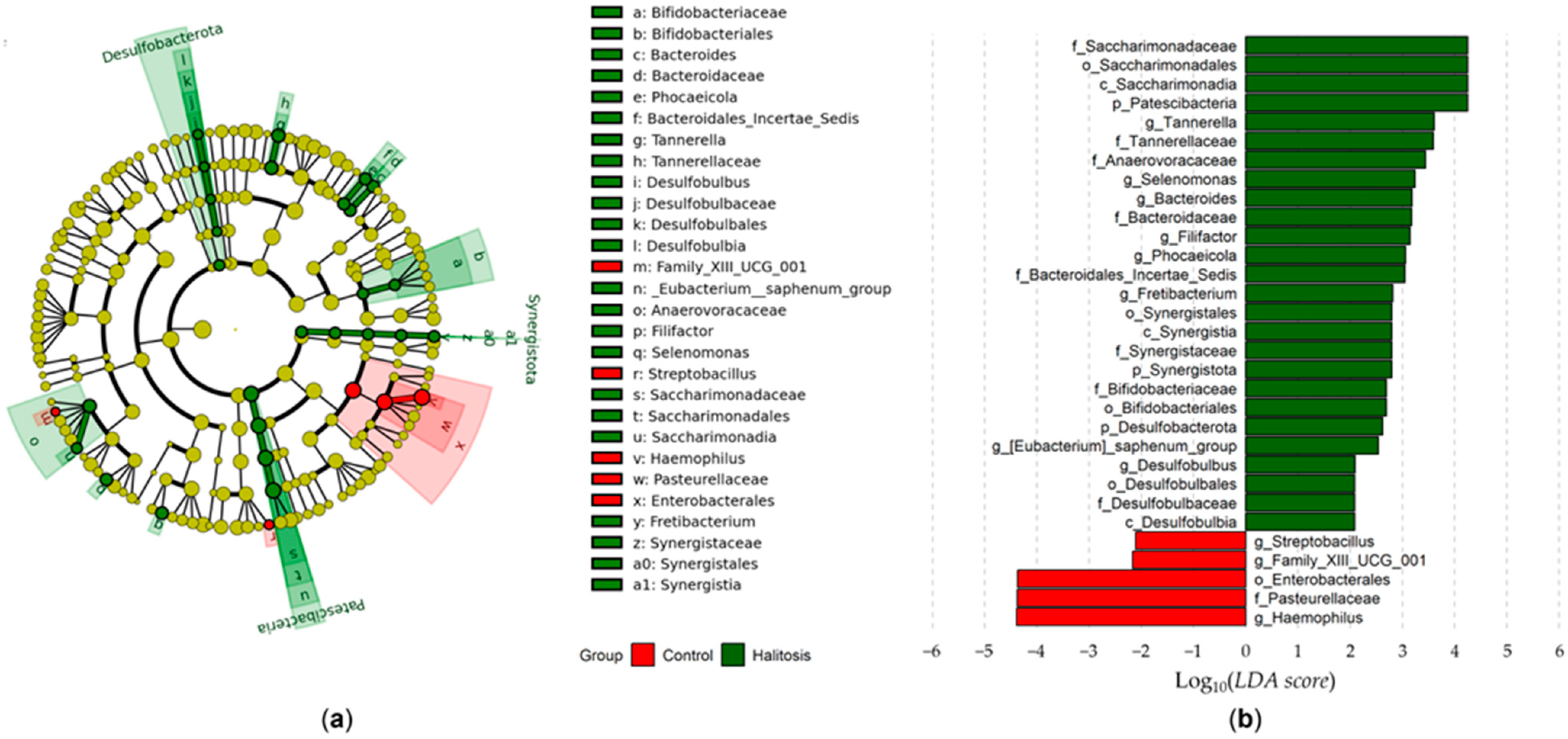 Dentistry 13 00036 g003 Dentistry 13 00036 g003