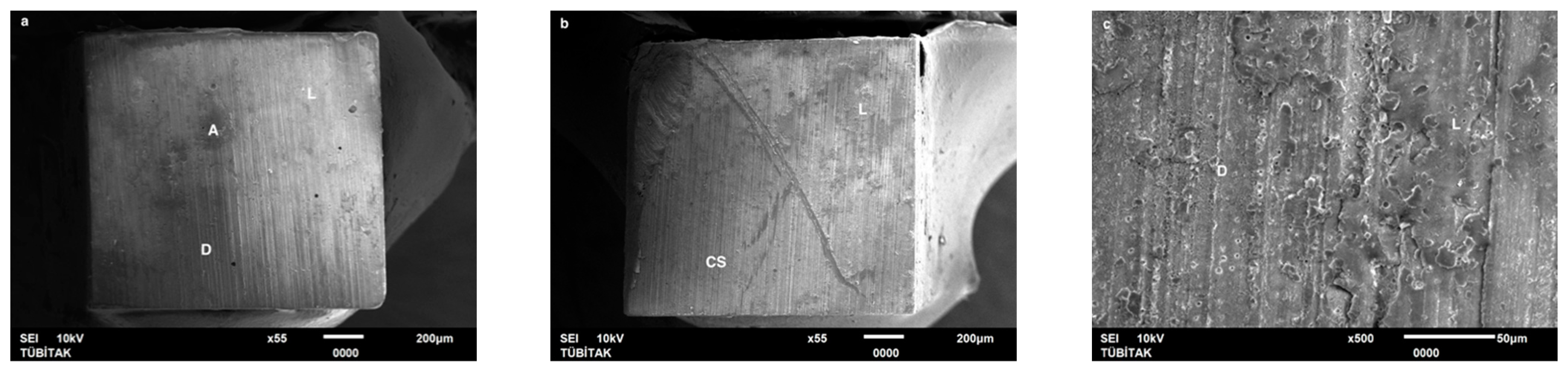 Dentistry 13 00041 g002