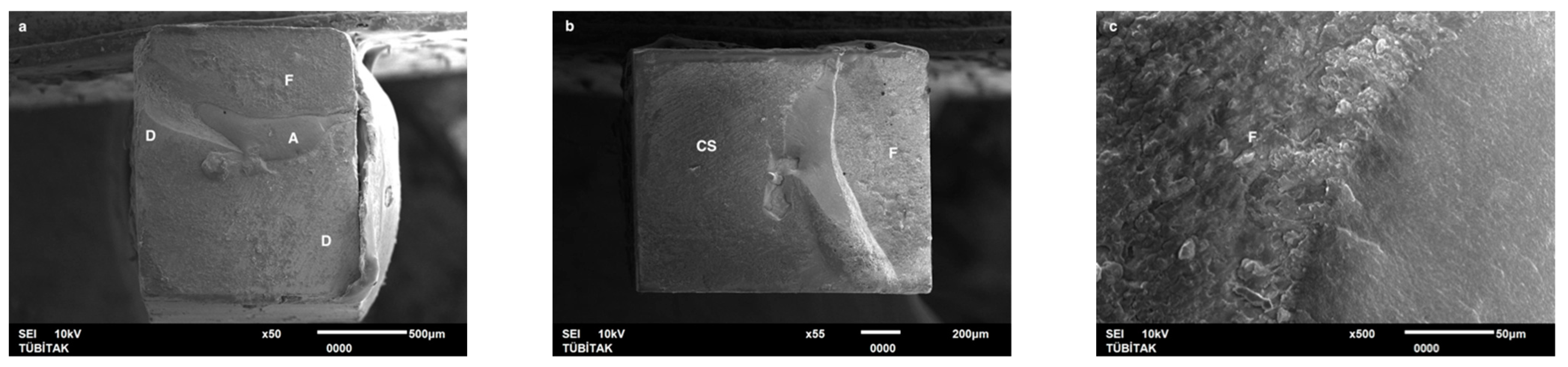 Dentistry 13 00041 g004