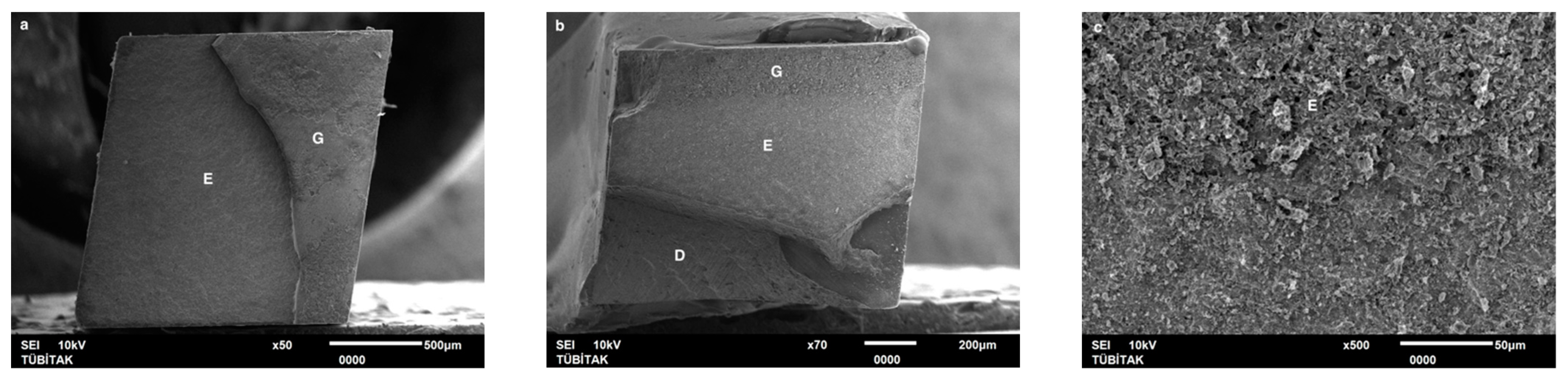 Dentistry 13 00041 g006