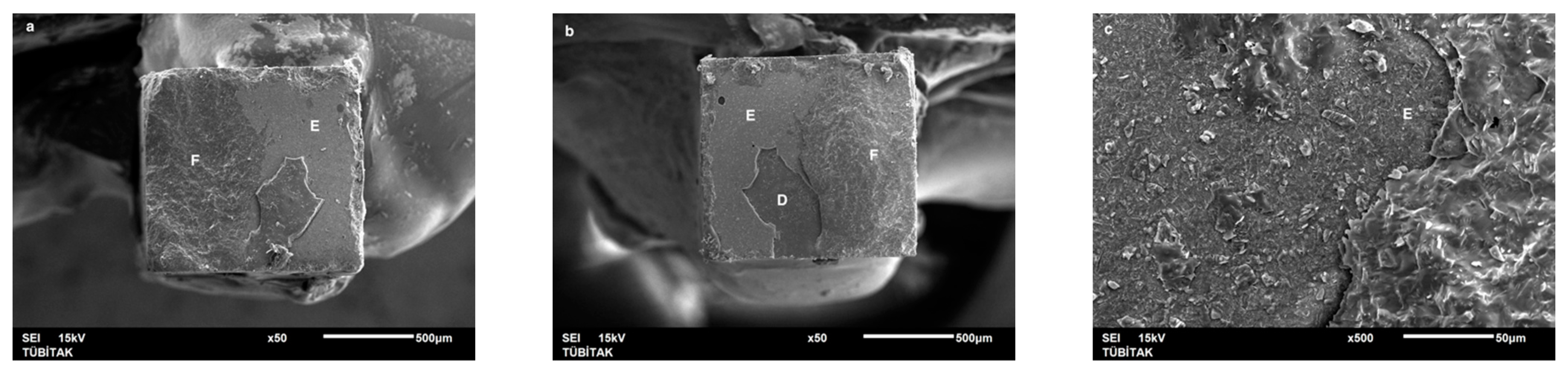 Dentistry 13 00041 g007