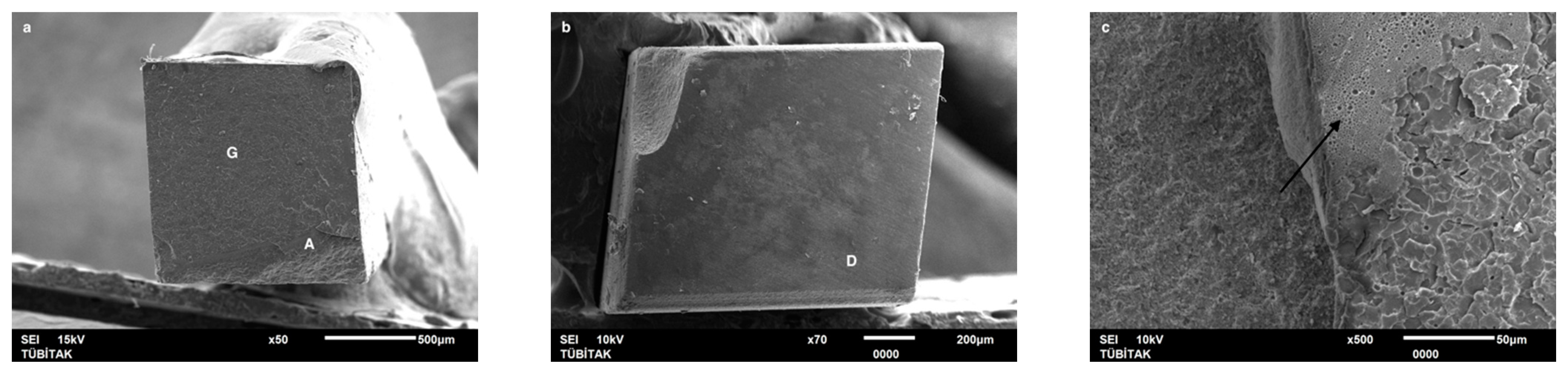 Dentistry 13 00041 g009