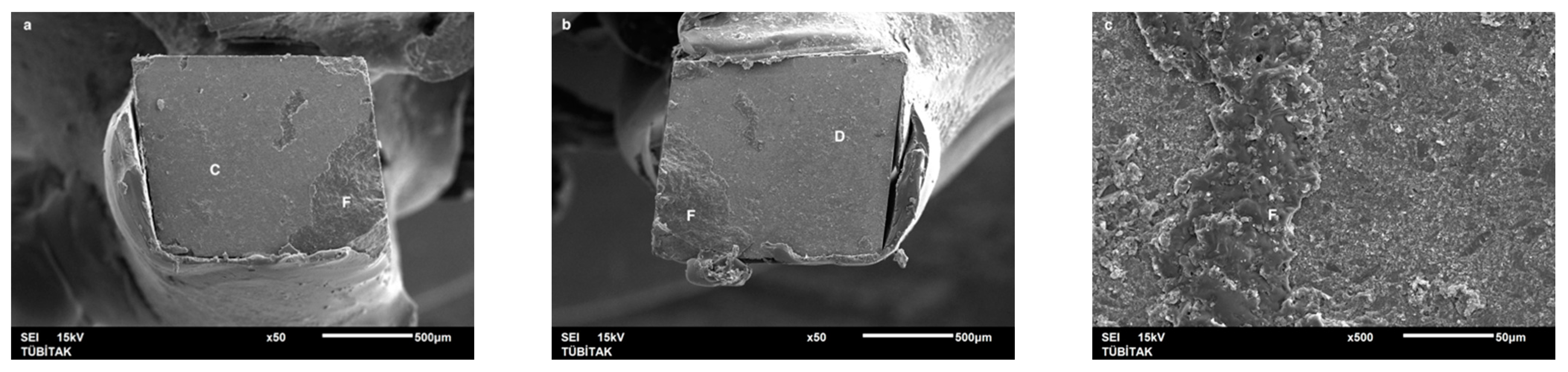 Dentistry 13 00041 g010