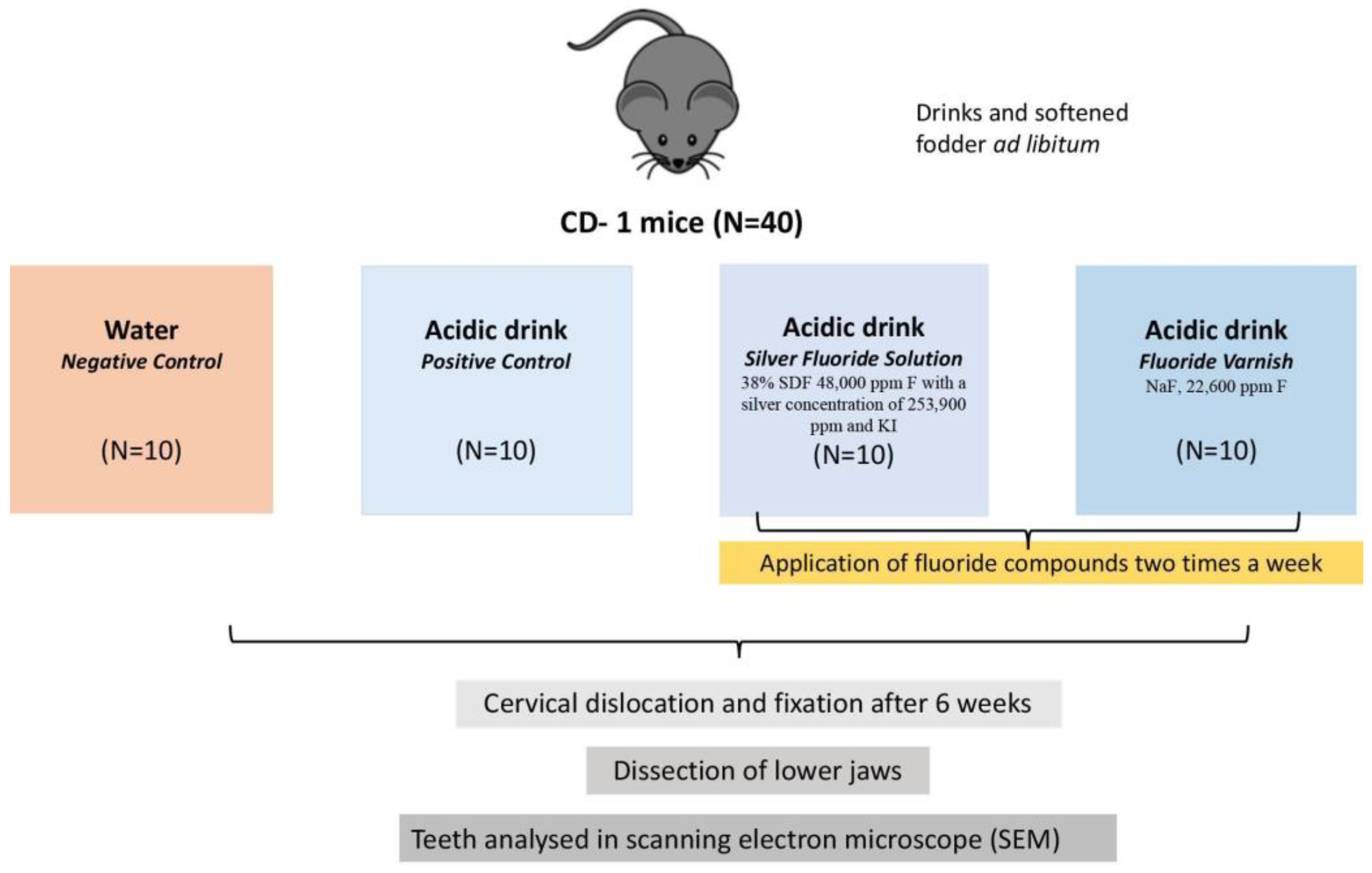 Dentistry 13 00046 g001