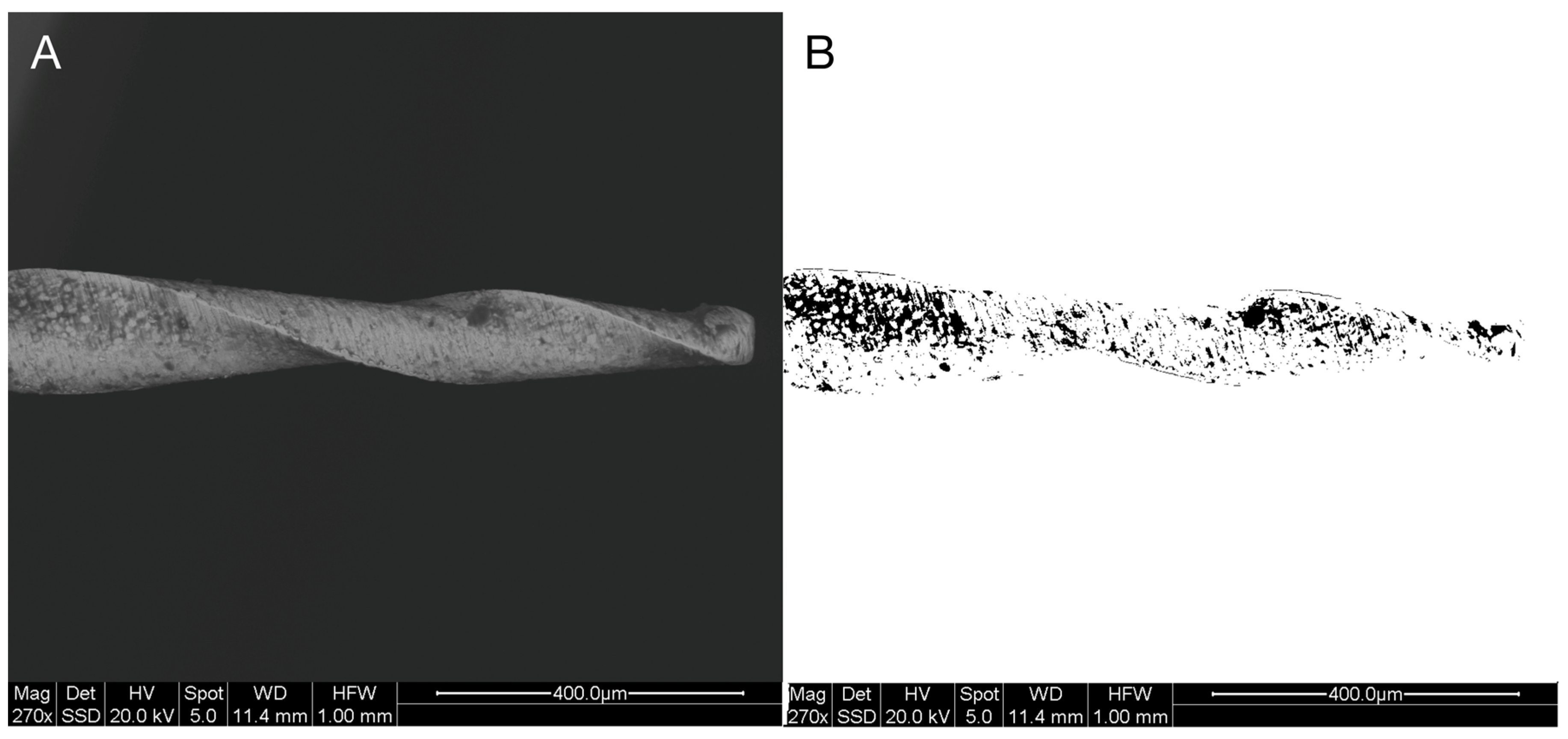 Dentistry 13 00049 g001 Dentistry 13 00049 g001