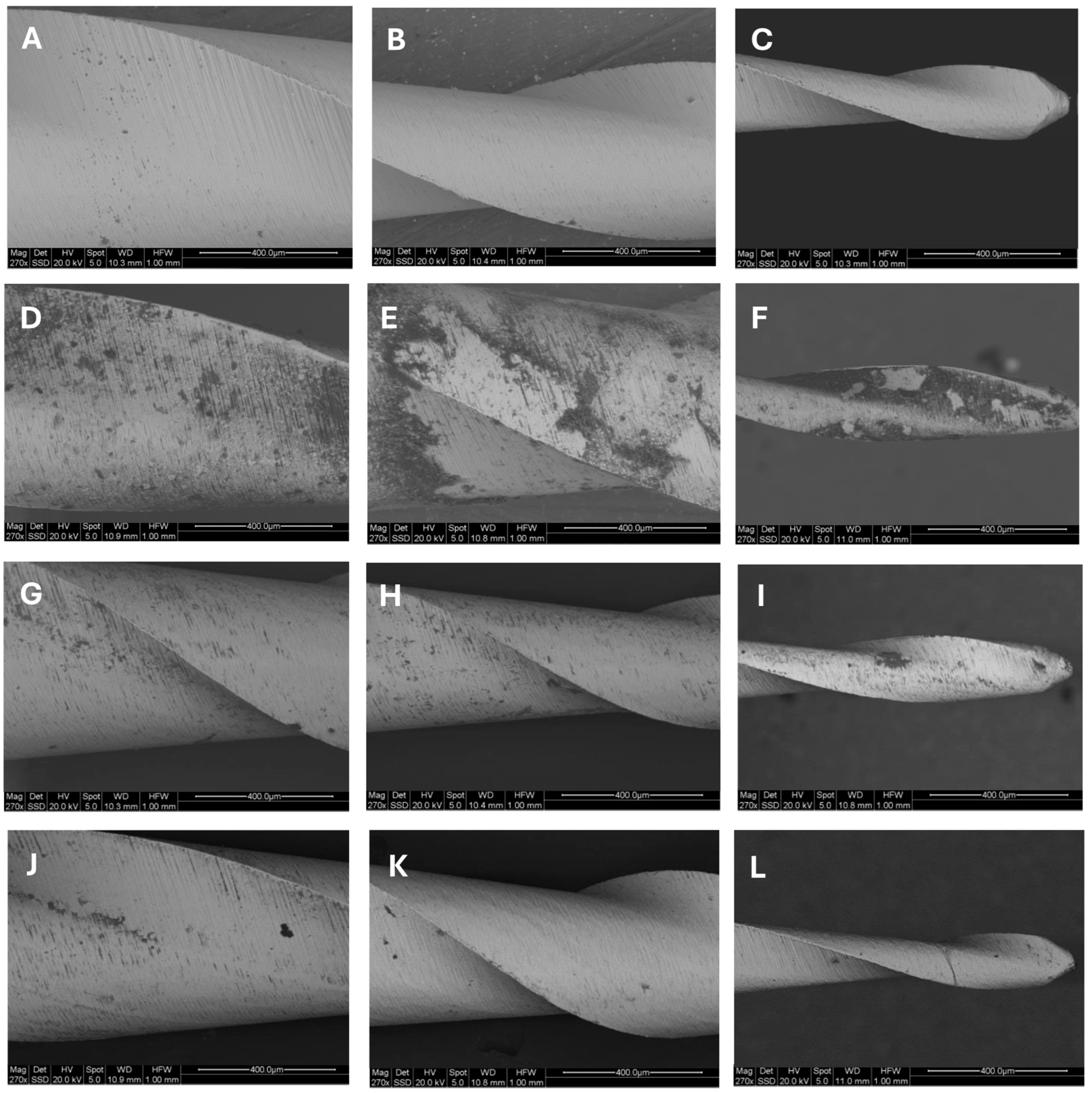 Dentistry 13 00049 g002 Dentistry 13 00049 g002