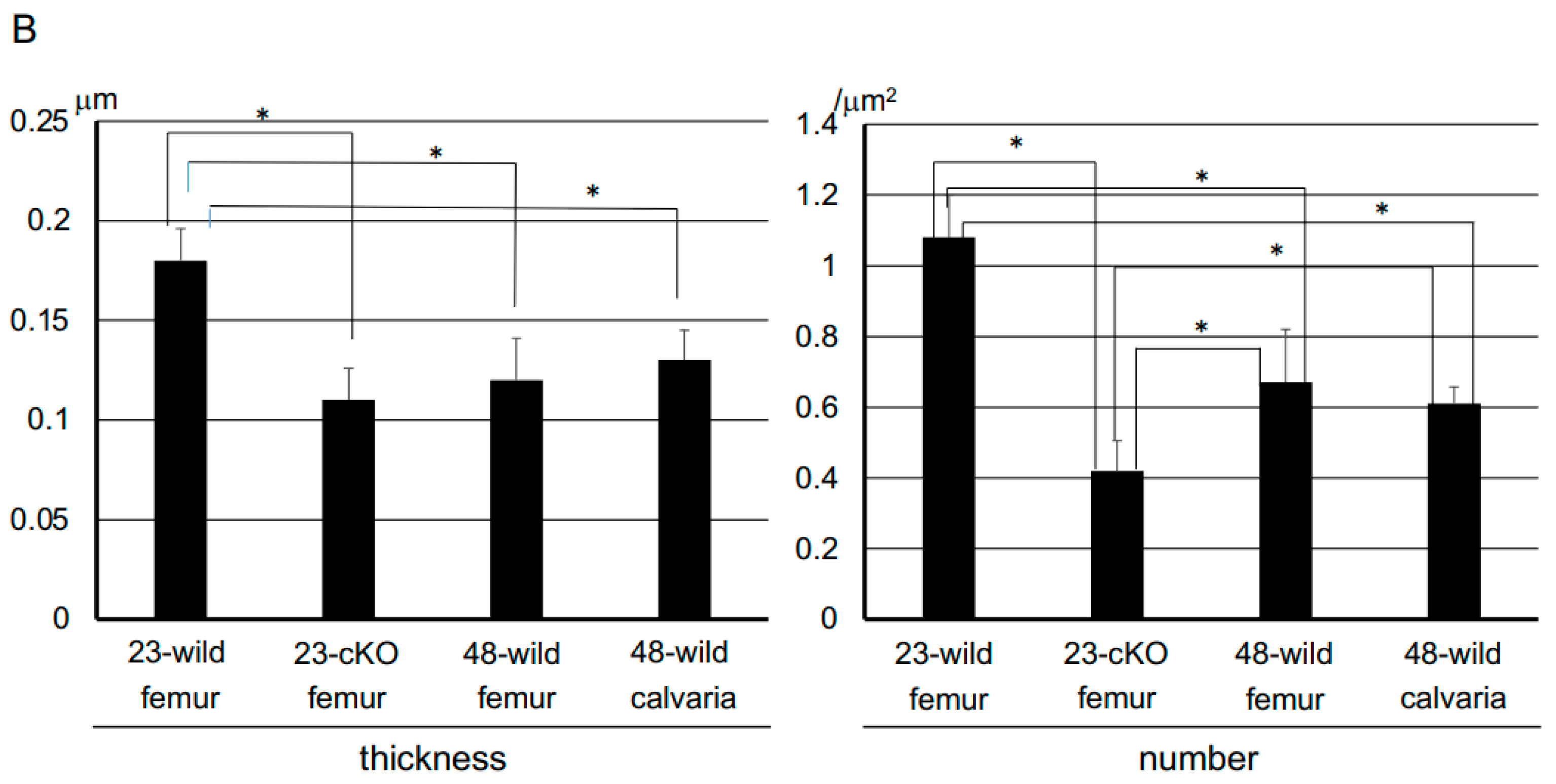 Dentistry 13 00061 g002b