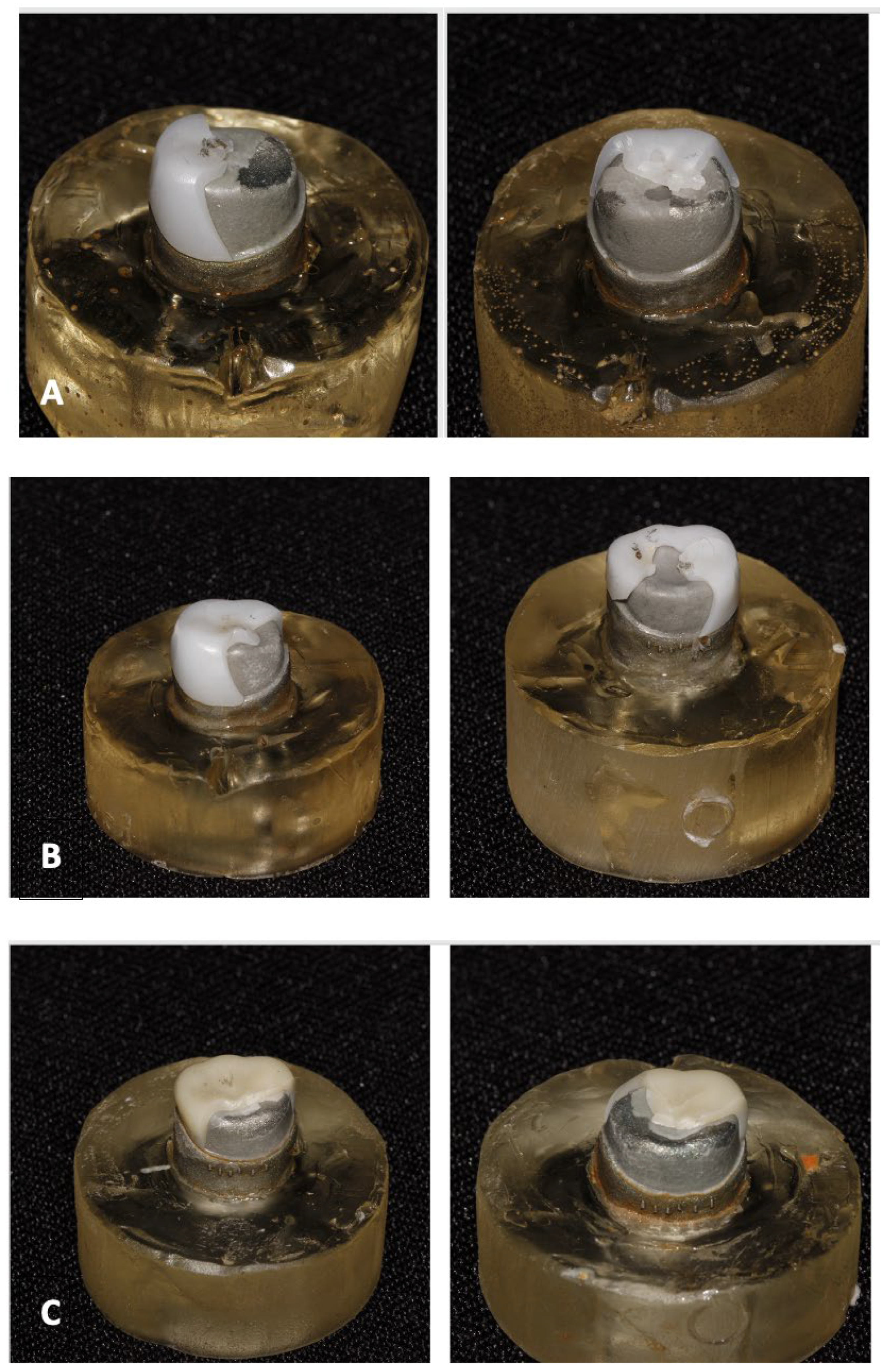 Dentistry 13 00064 g002