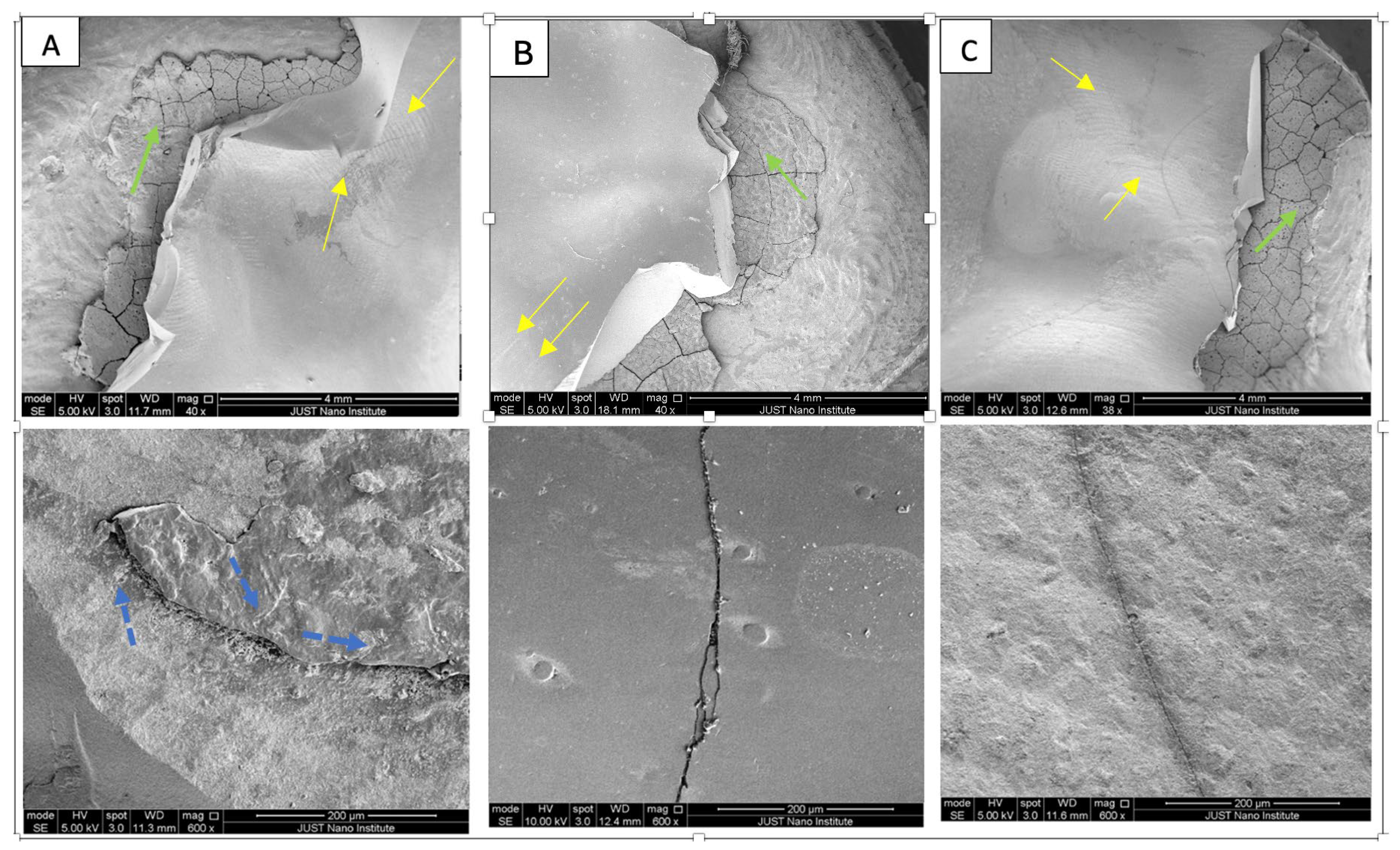 Dentistry 13 00064 g003