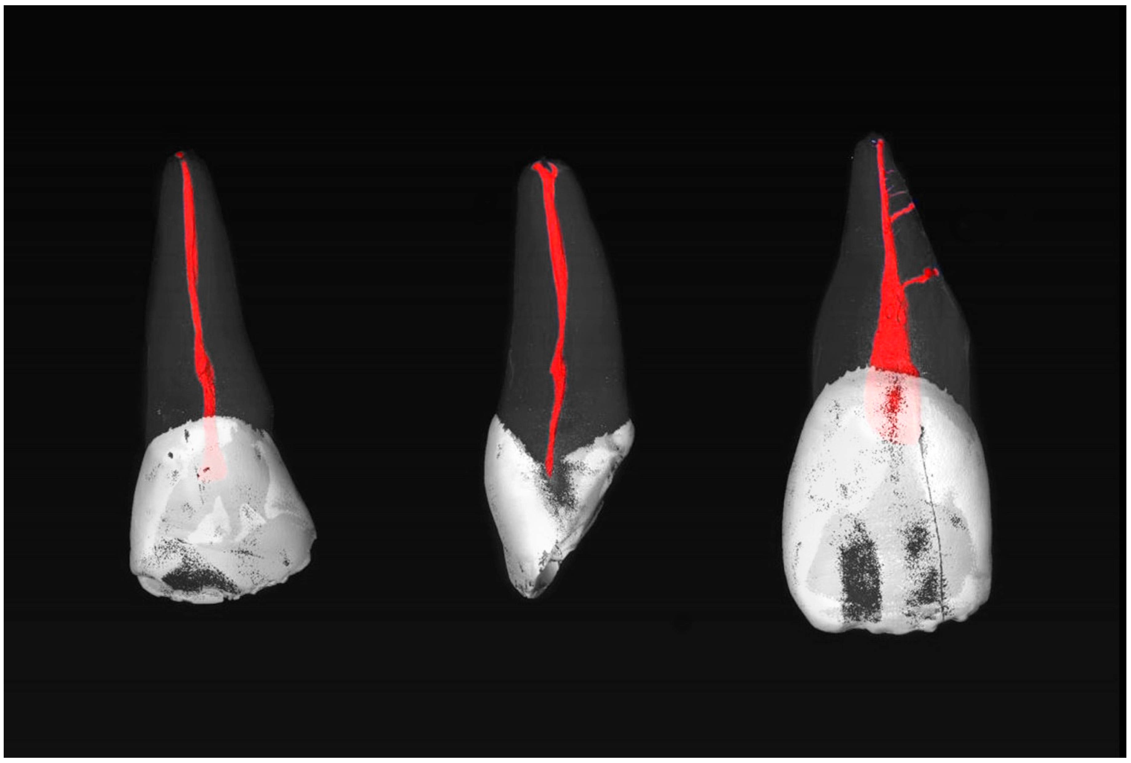 Dentistry 13 00072 g001
