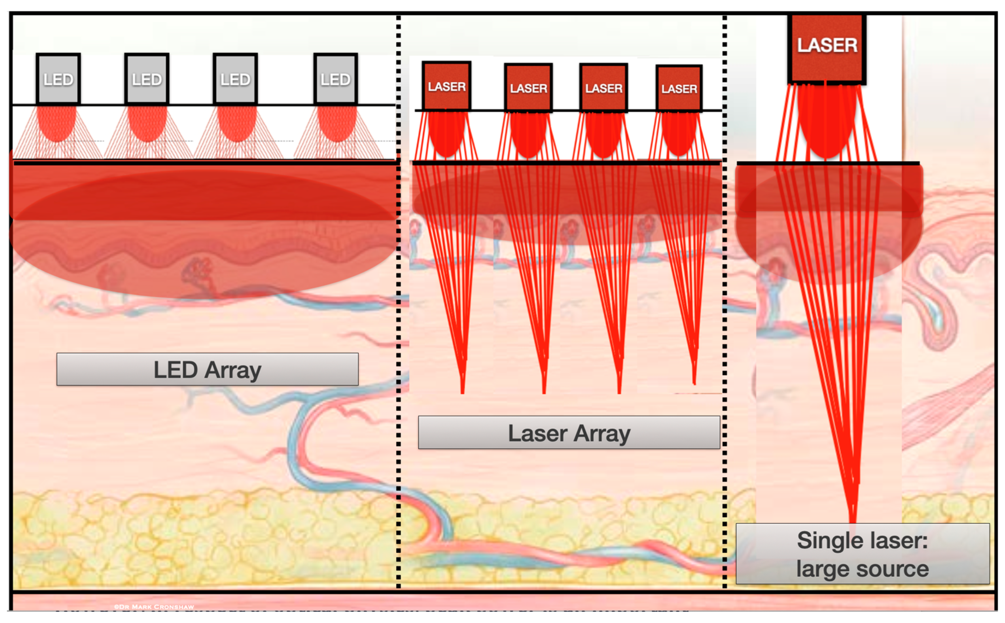 Dentistry 13 00076 g011