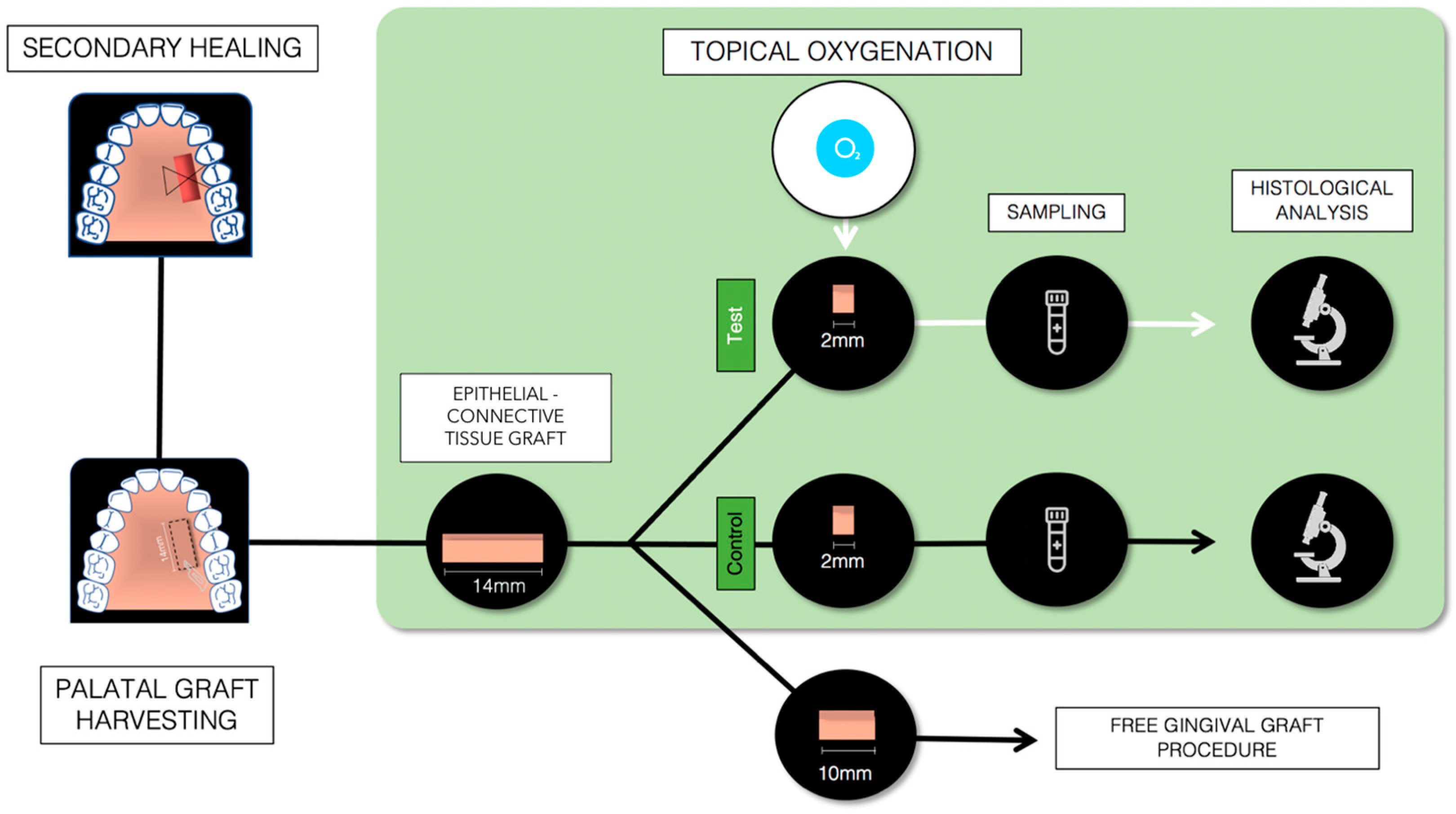 Dentistry 13 00077 g001