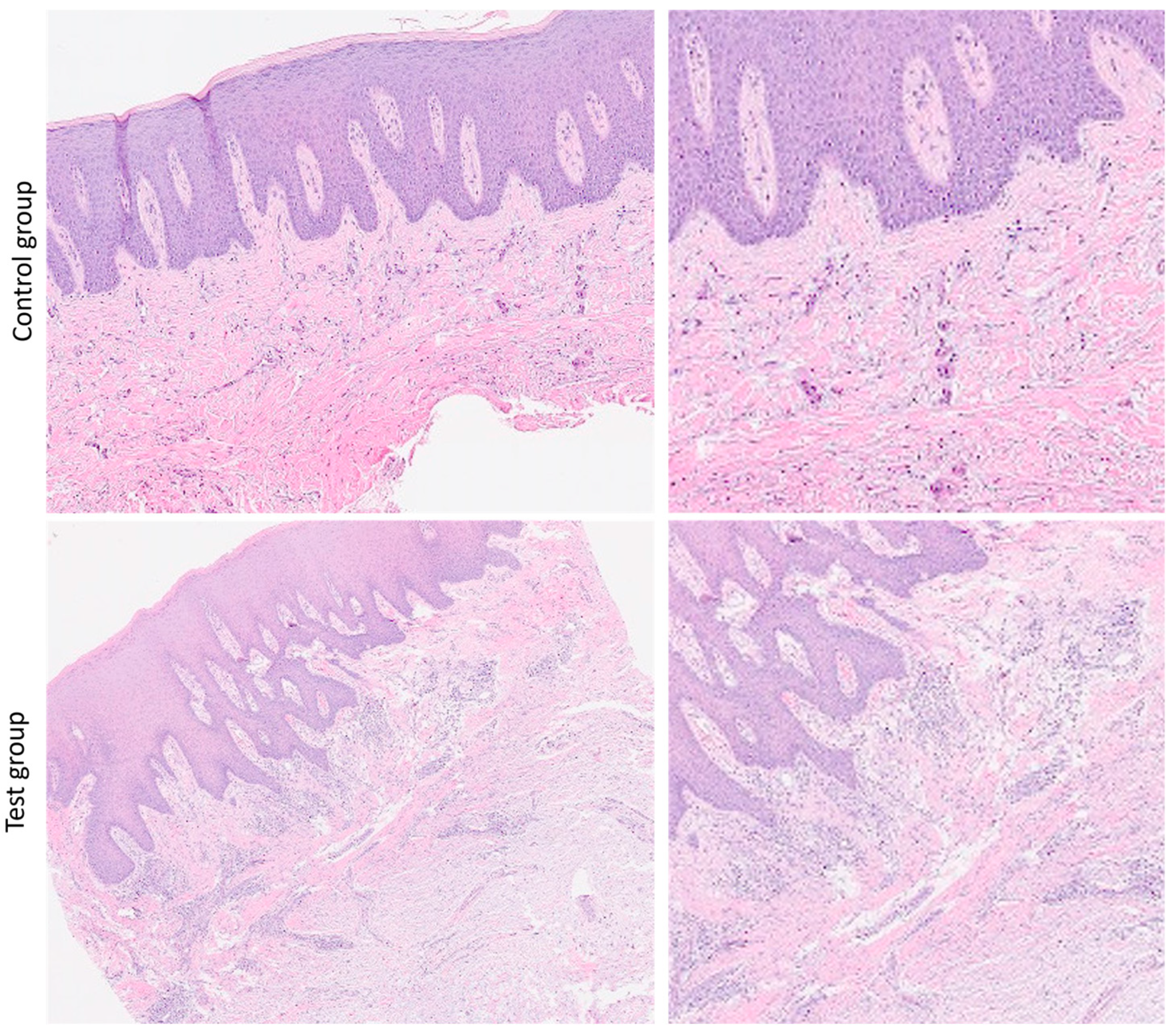 Dentistry 13 00077 g003