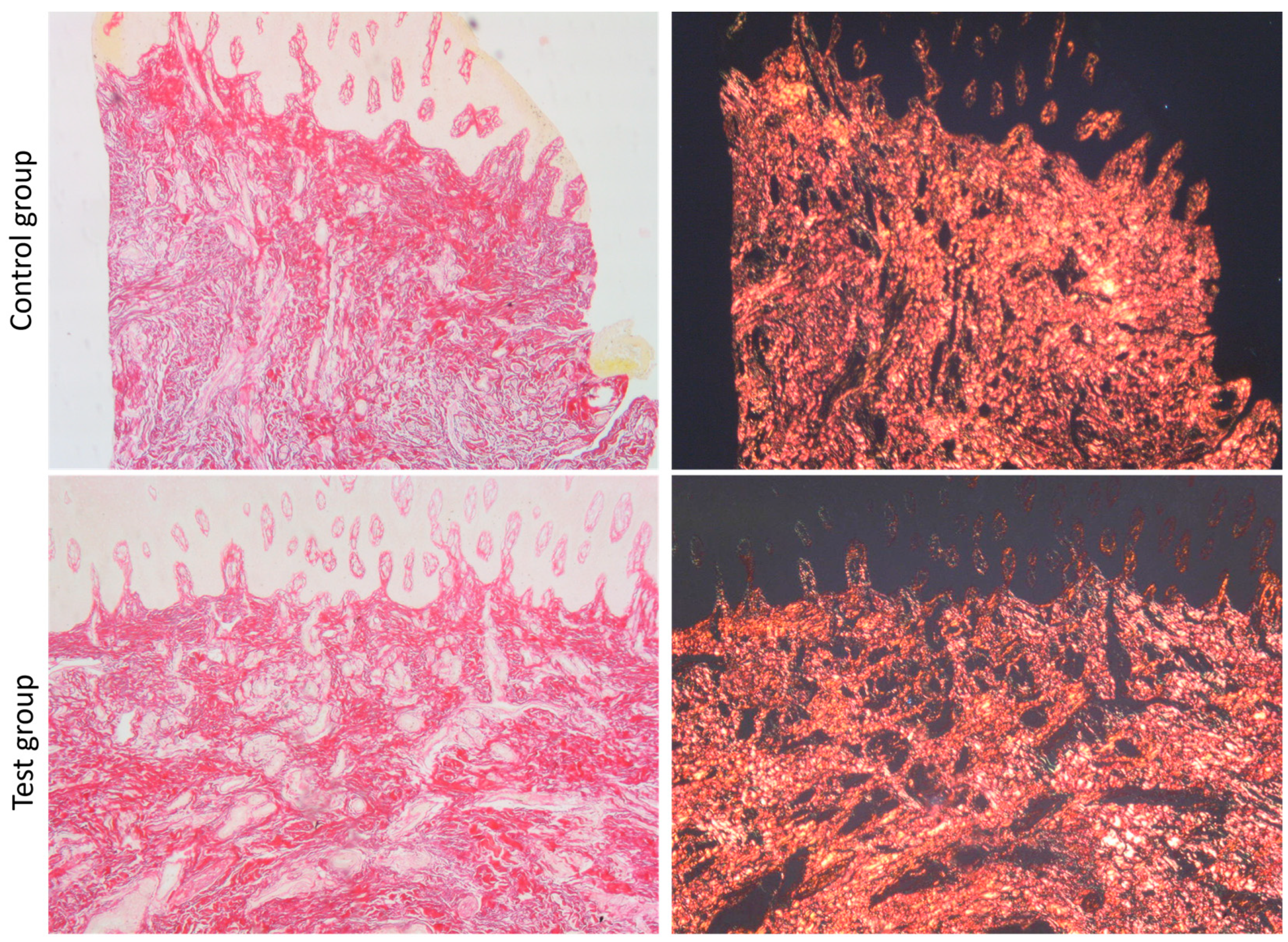 Dentistry 13 00077 g004