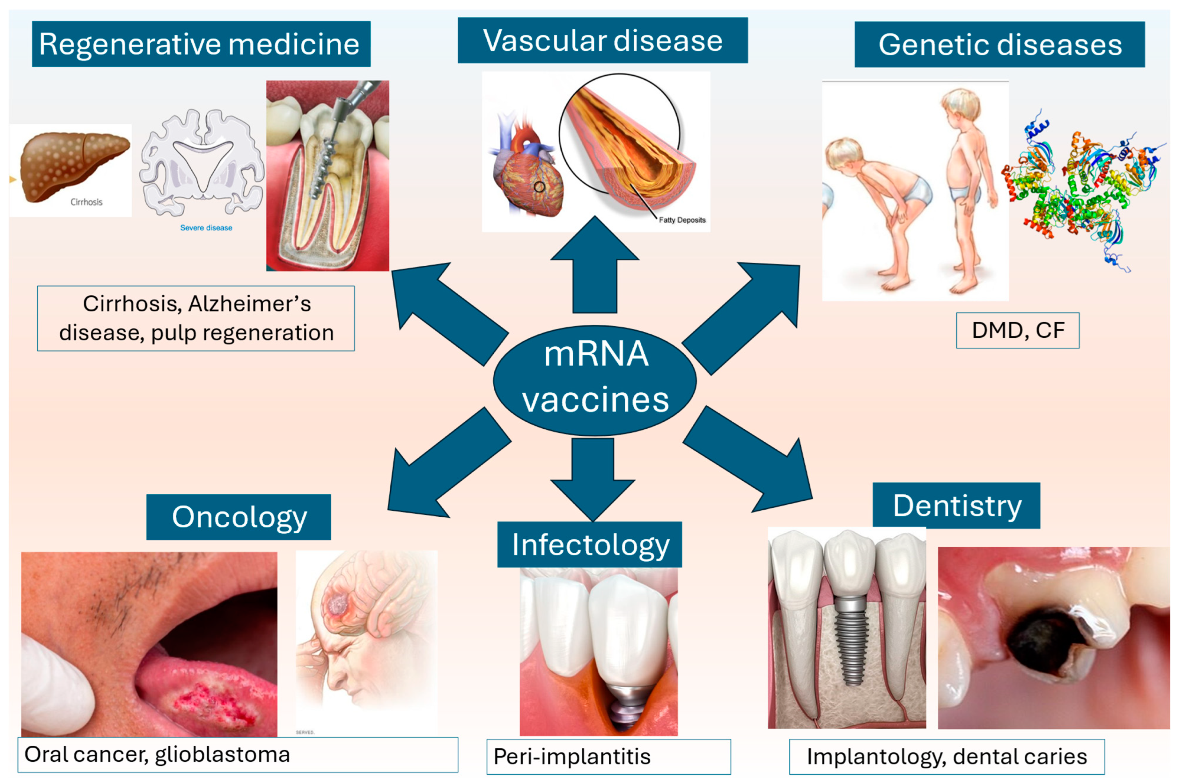Dentistry 13 00079 g001