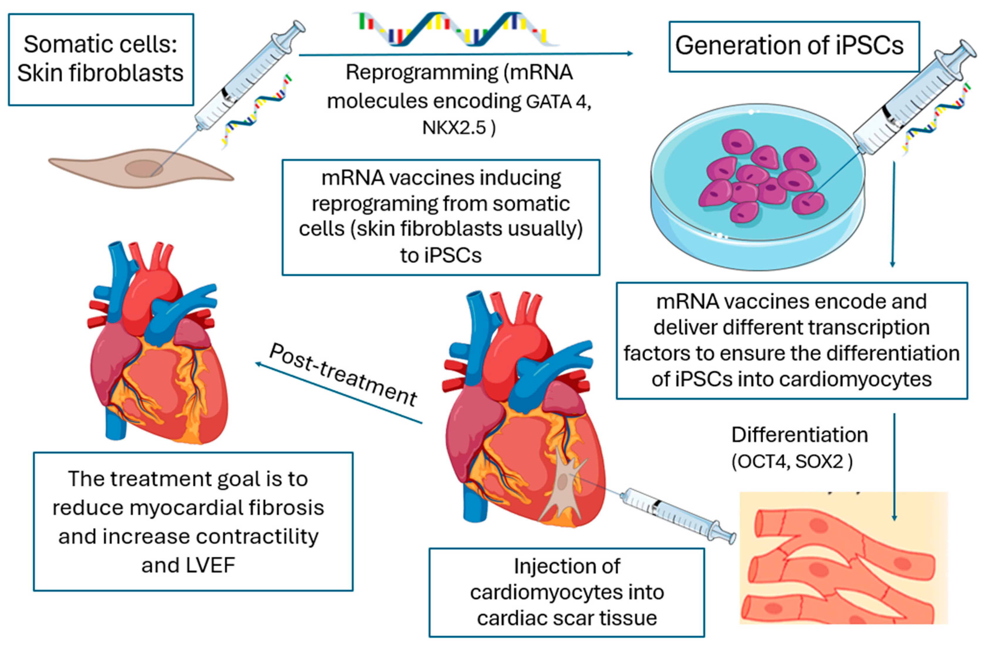 Dentistry 13 00079 g003
