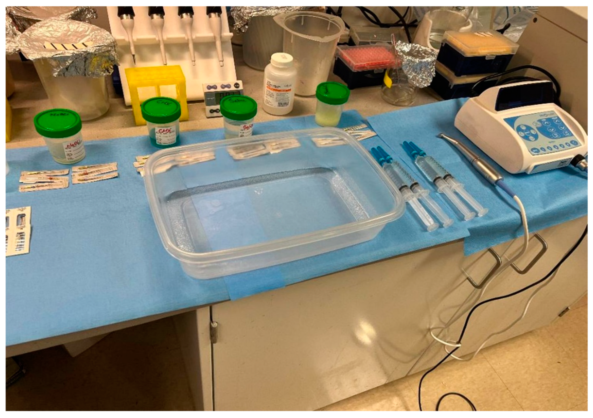 Dentistry 13 00087 g001 Dentistry 13 00087 g001