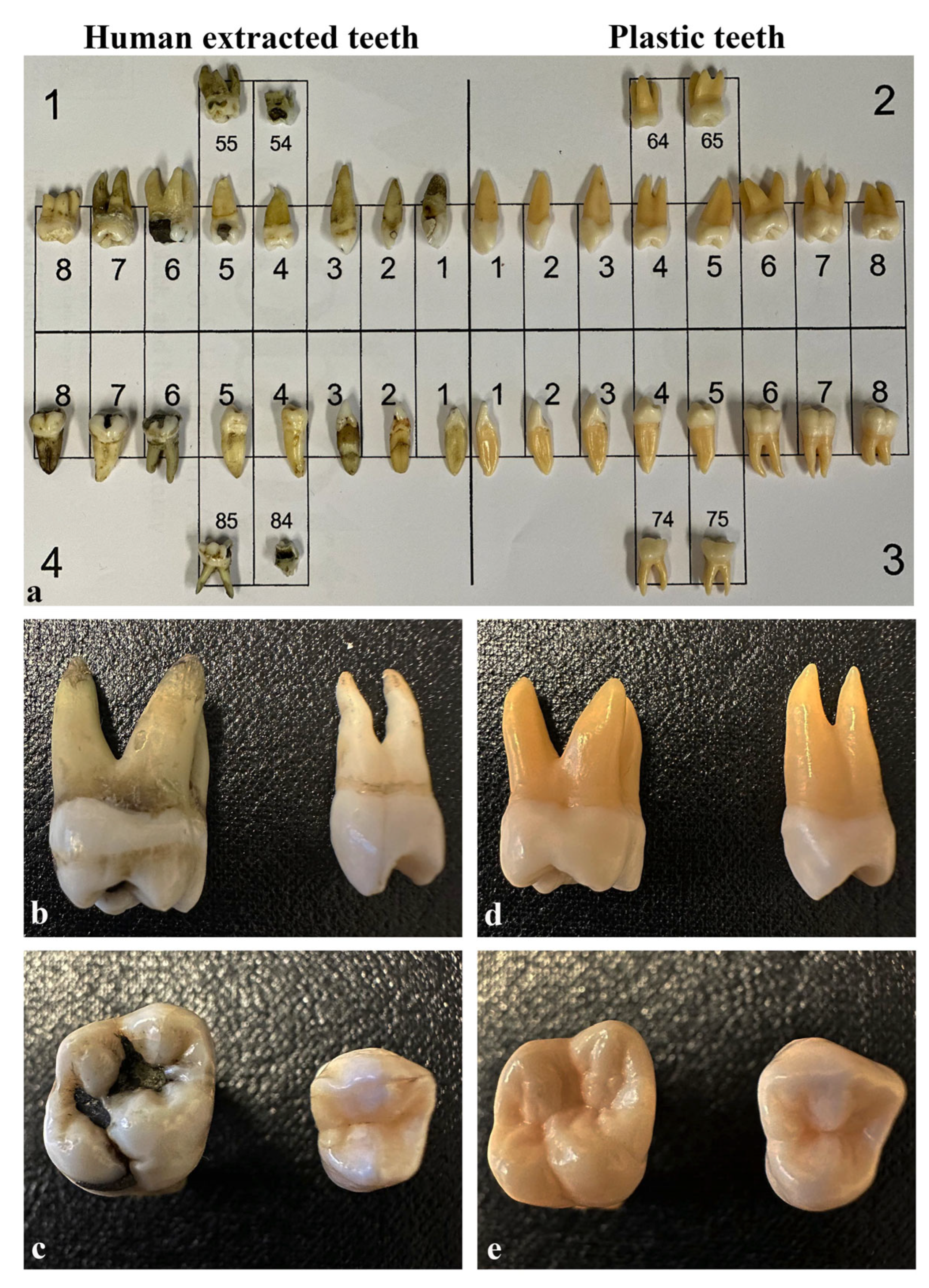 Dentistry 13 00105 g001