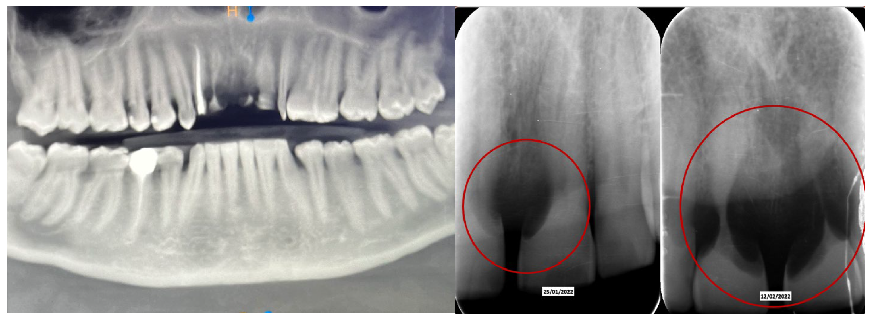 Dentistry 13 00128 g002