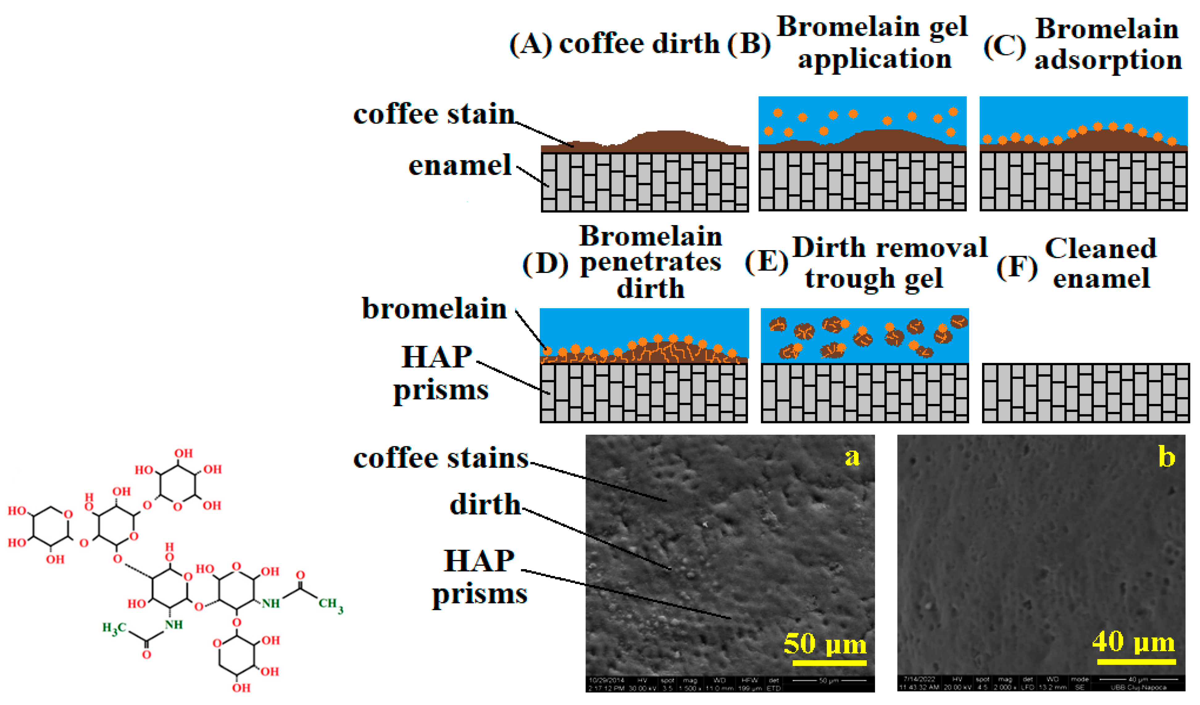 Dentistry 13 00132 g003