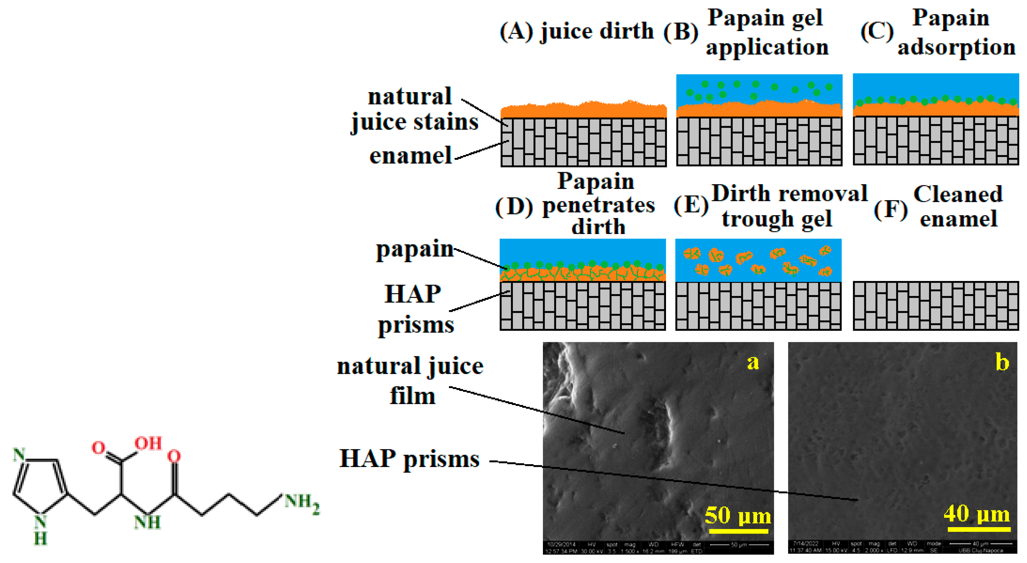 Dentistry 13 00132 g004