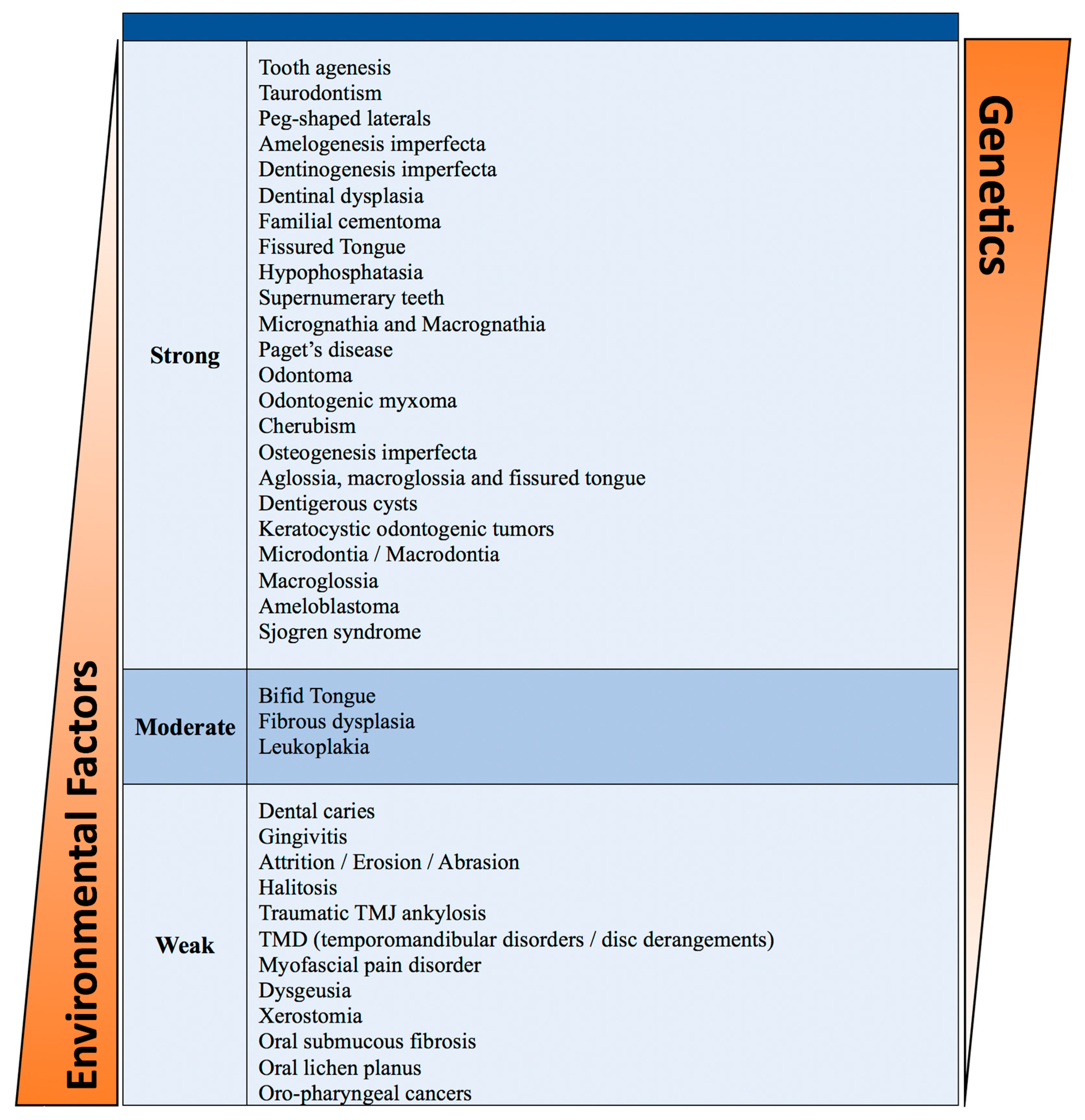 Dentistry 13 00133 g004