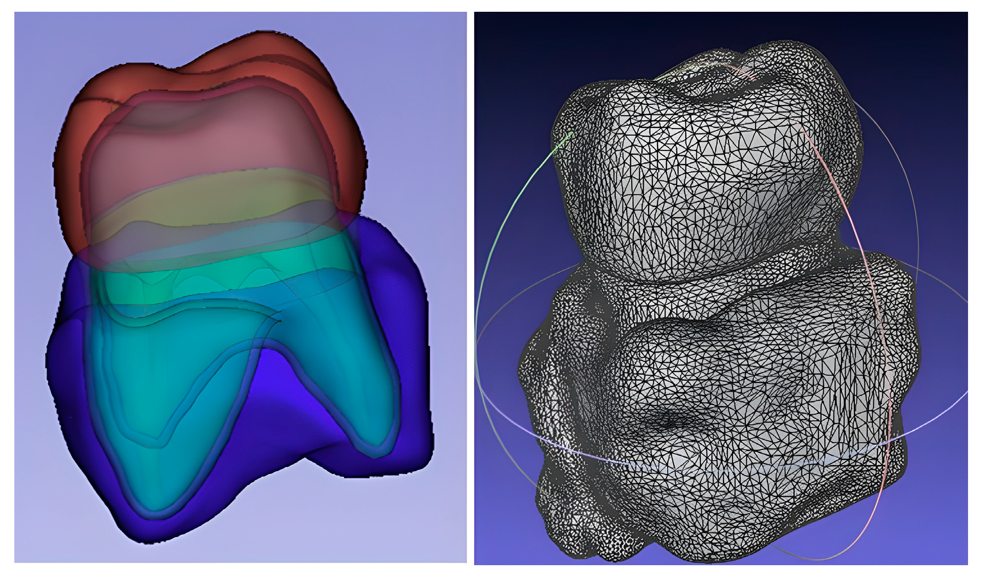 Dentistry 13 00137 g002