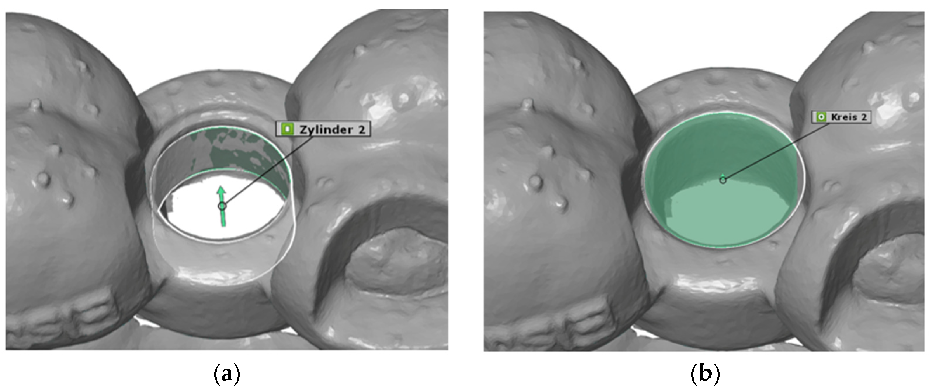 Dentistry 13 00150 g006