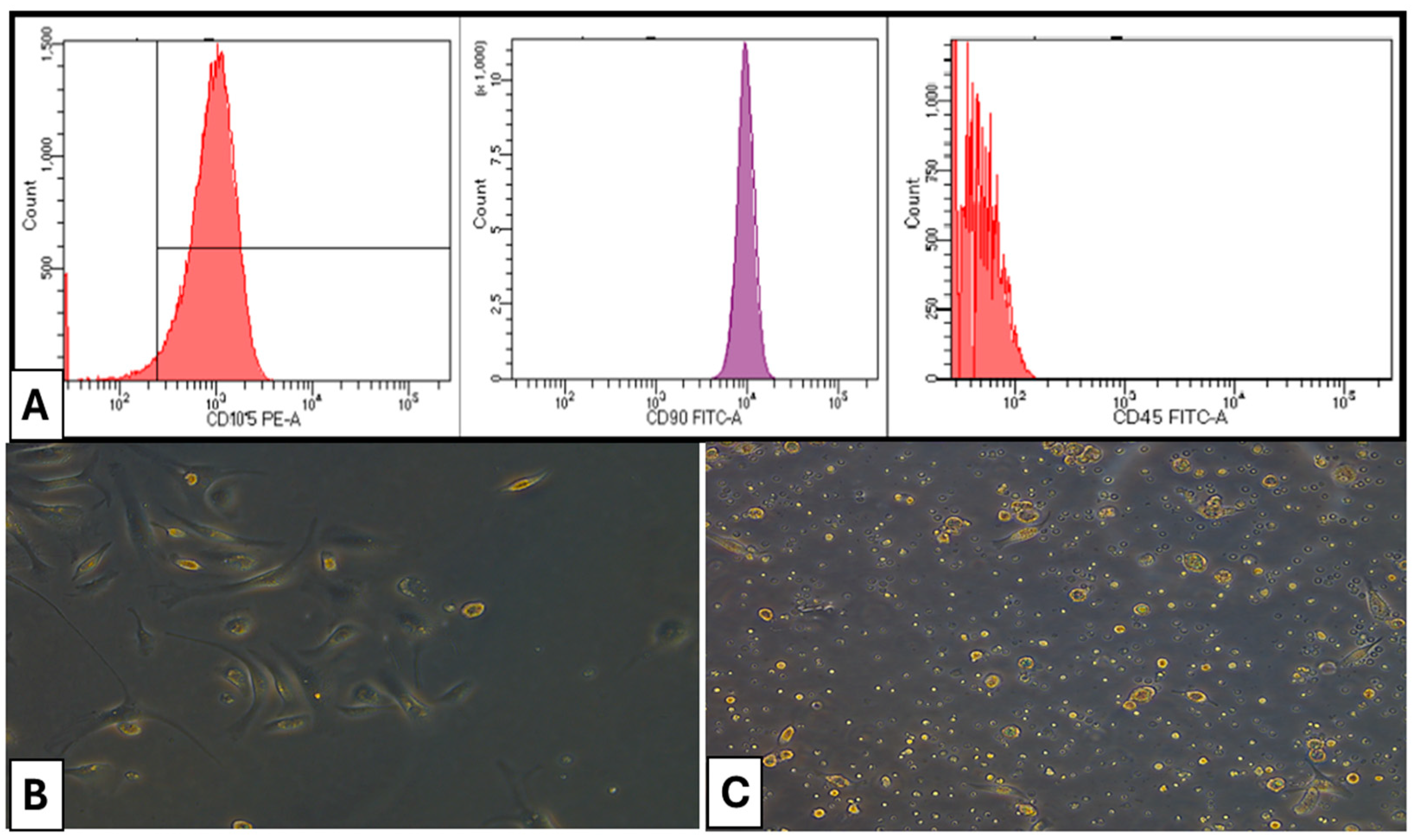 Dentistry 13 00153 g001