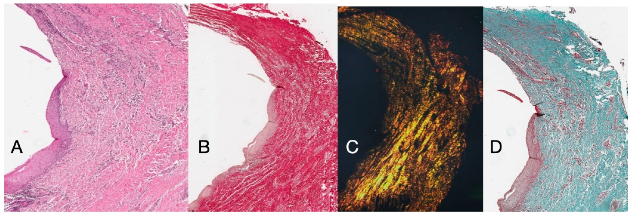 Dentistry 13 00154 g004