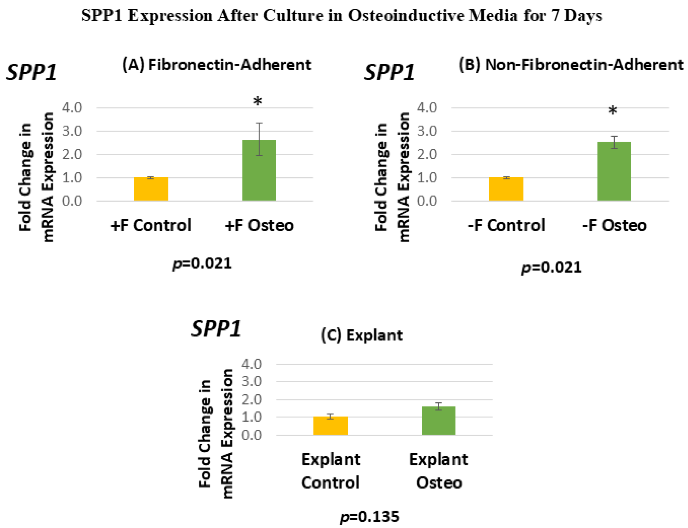 Dentistry 13 00159 g007