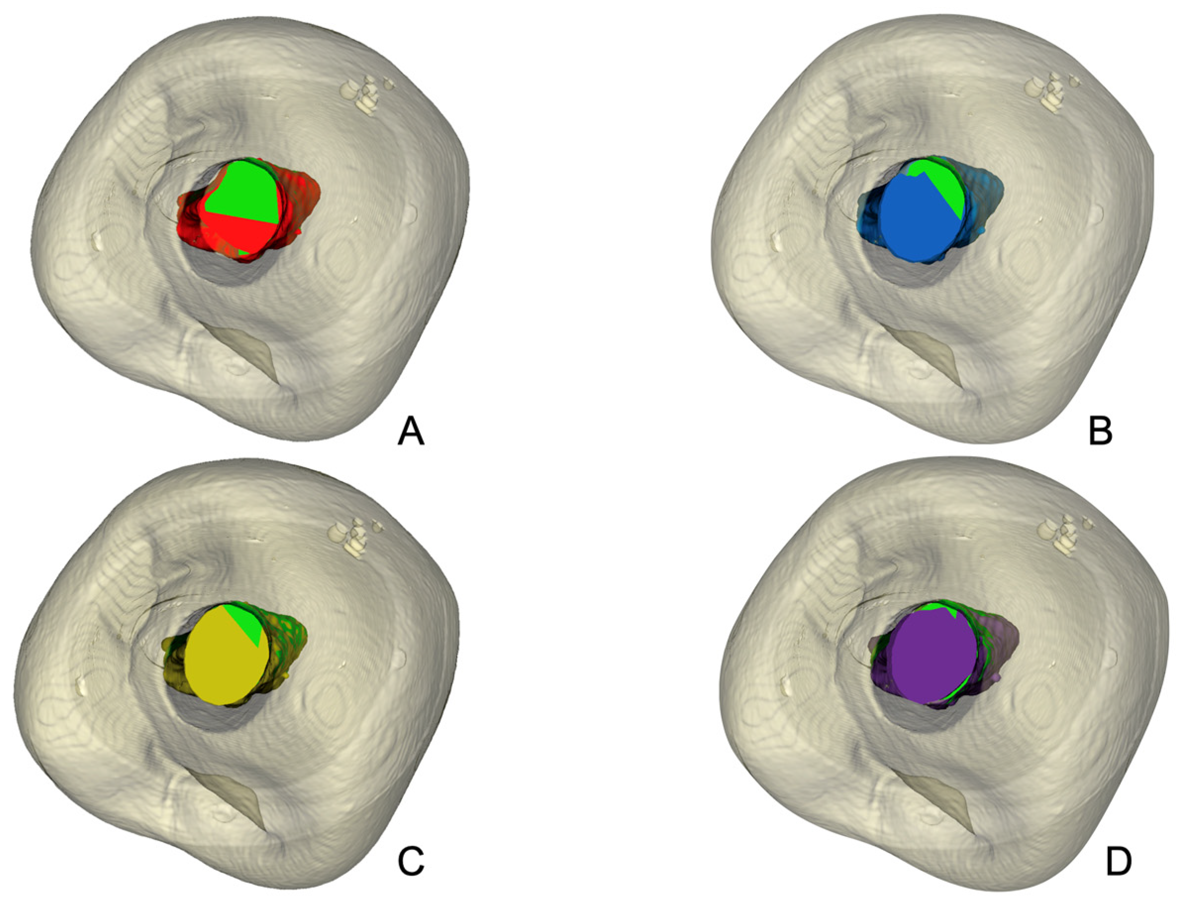 Dentistry 13 00175 g006